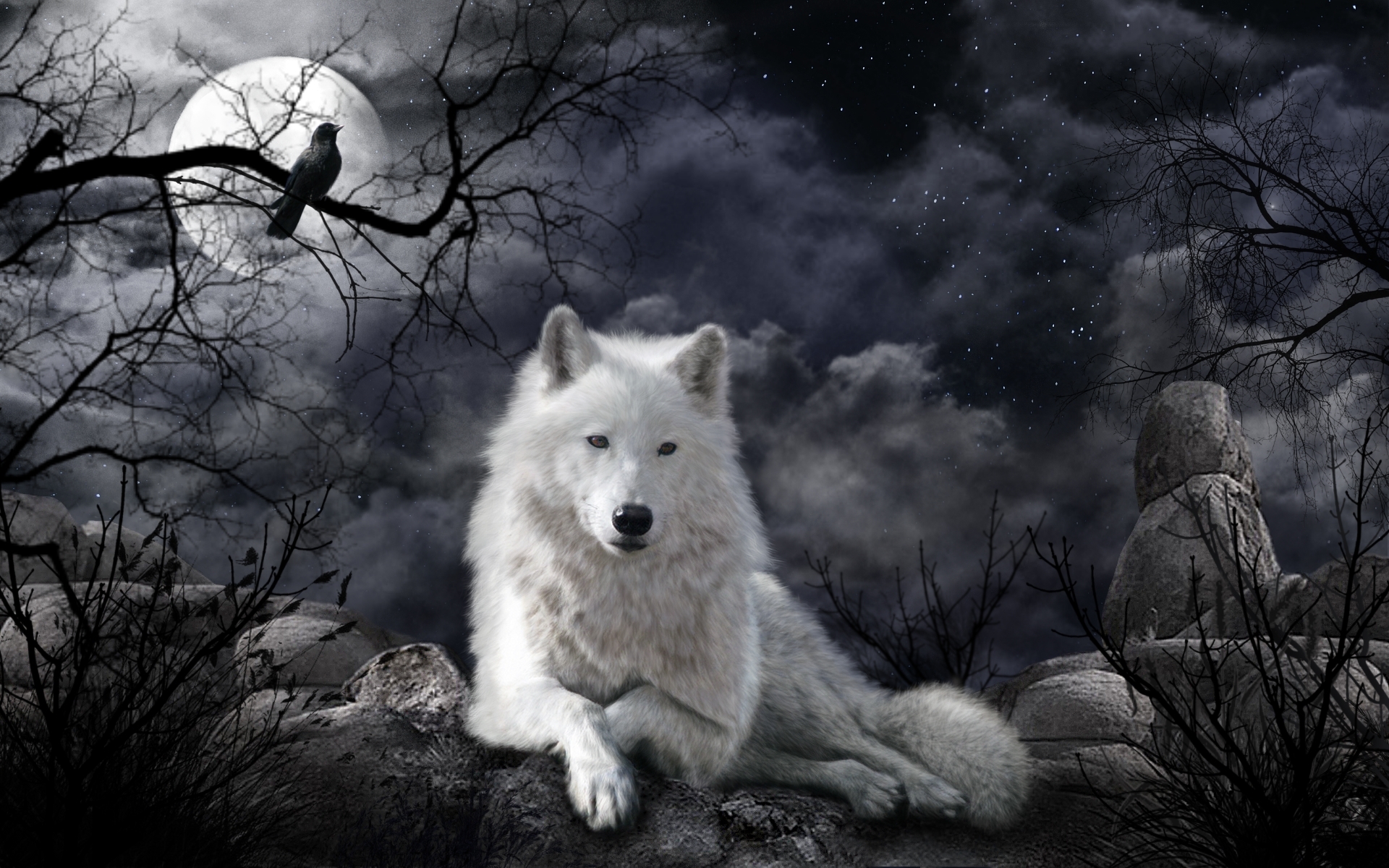 White Wolf  Best Games HD wallpaper  Pxfuel