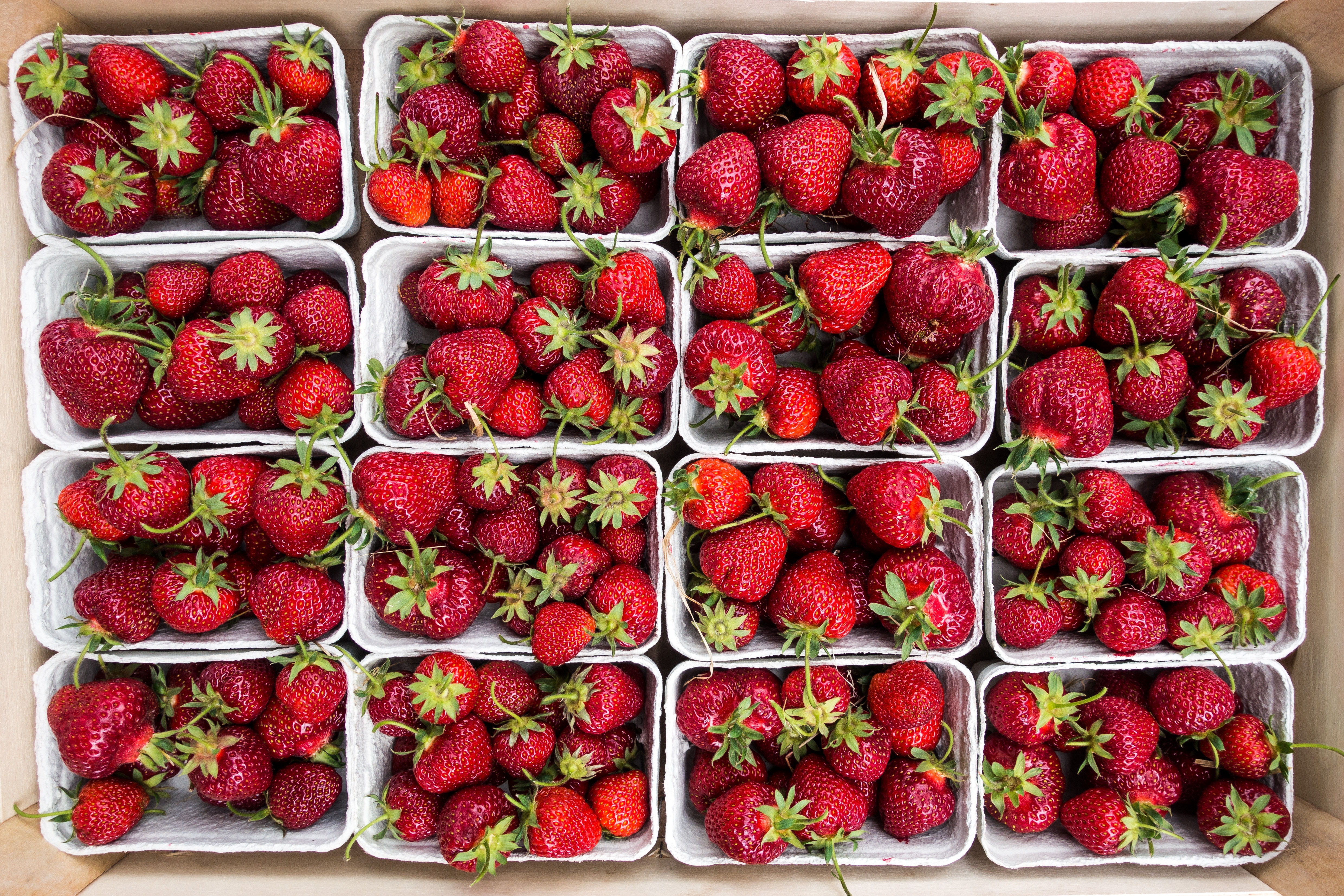 Handy-Wallpaper Lebensmittel, Berries, Die Ernte, Reif, Ernte, Erdbeere kostenlos herunterladen.
