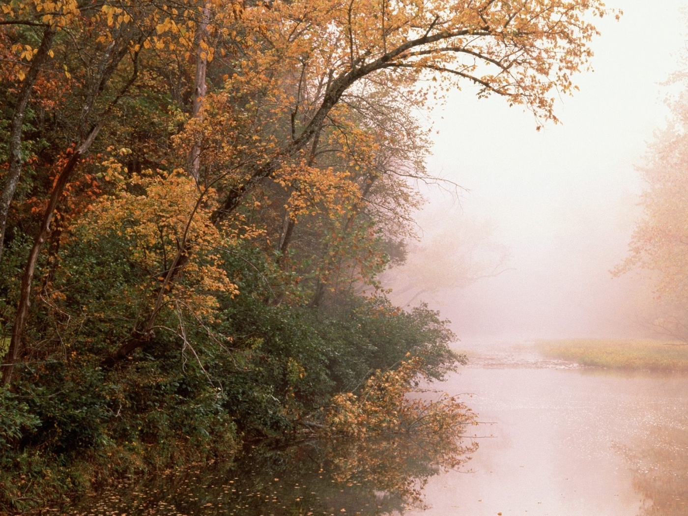 Скачать картинку Река, Деревья, Пейзаж, Осень в телефон бесплатно.