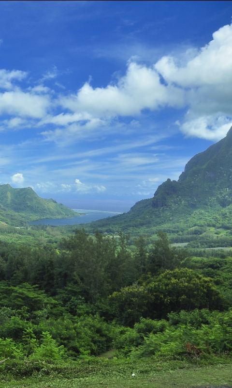 1206656 Hintergrundbild herunterladen erde/natur, landschaft, tropen, tahiti, französisch polynesien, moorea, insel - Bildschirmschoner und Bilder kostenlos