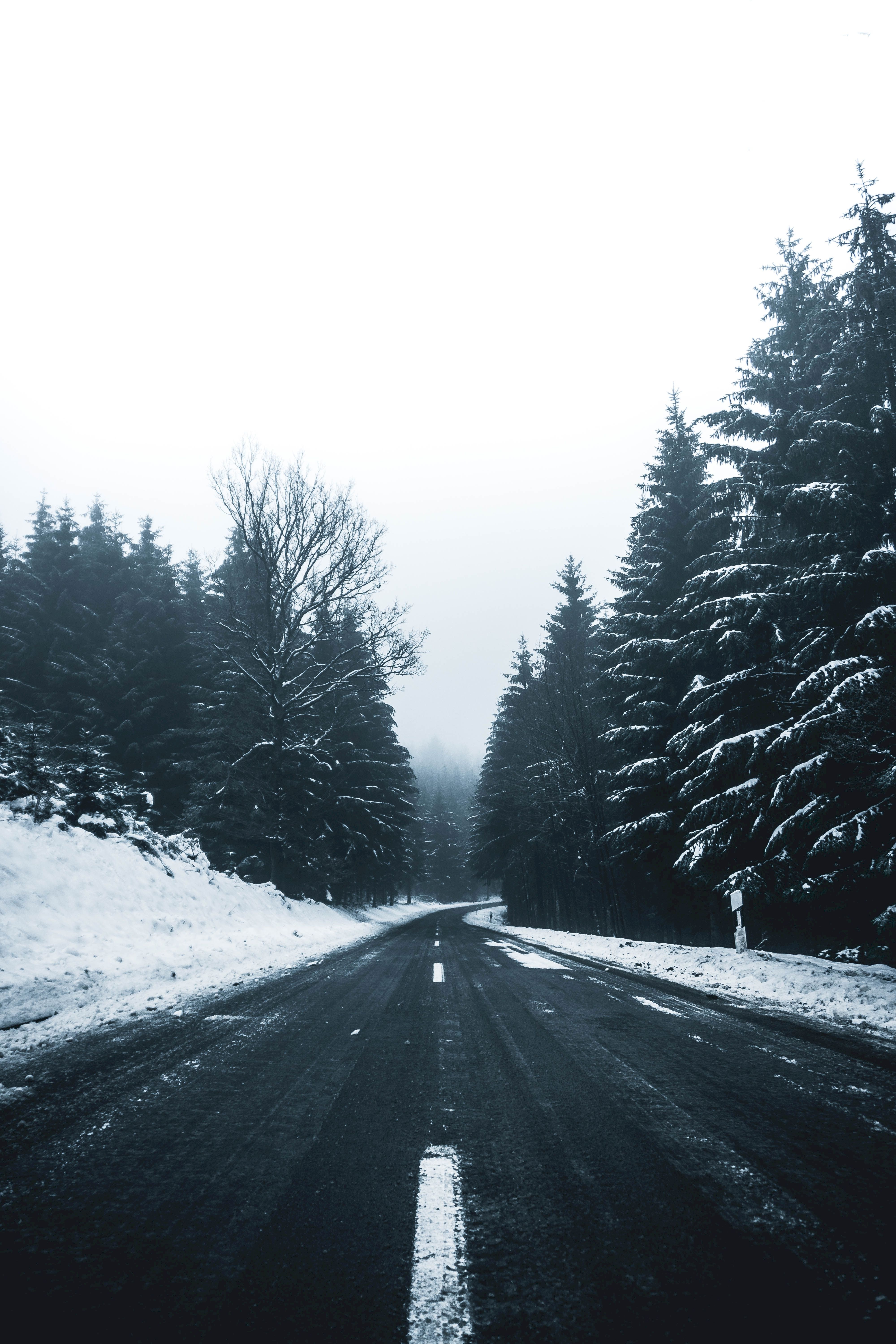 Full HD Wallpaper winter, nature, trees, snow, road, turn, markup