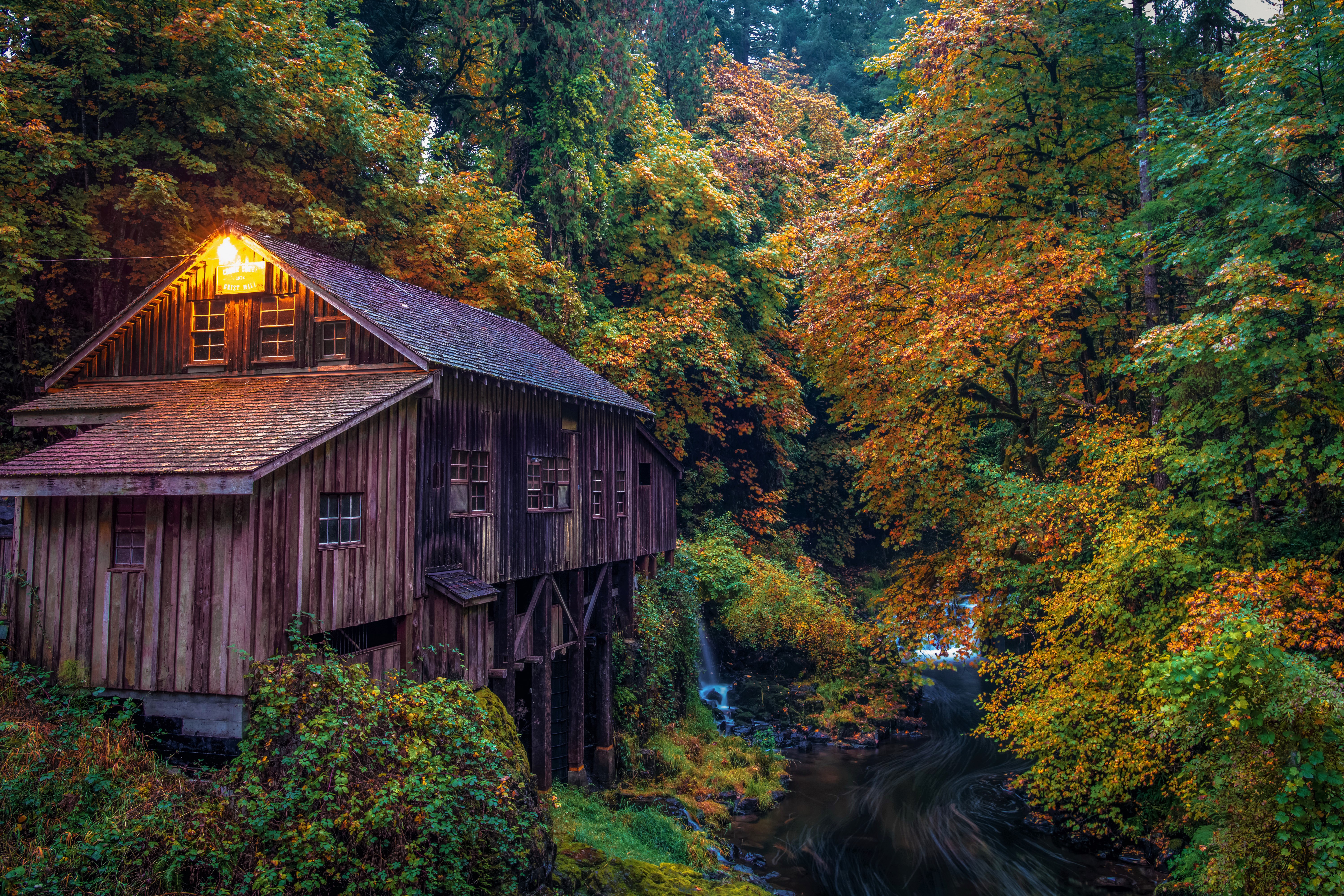 man made, watermill, fall, forest HD wallpaper