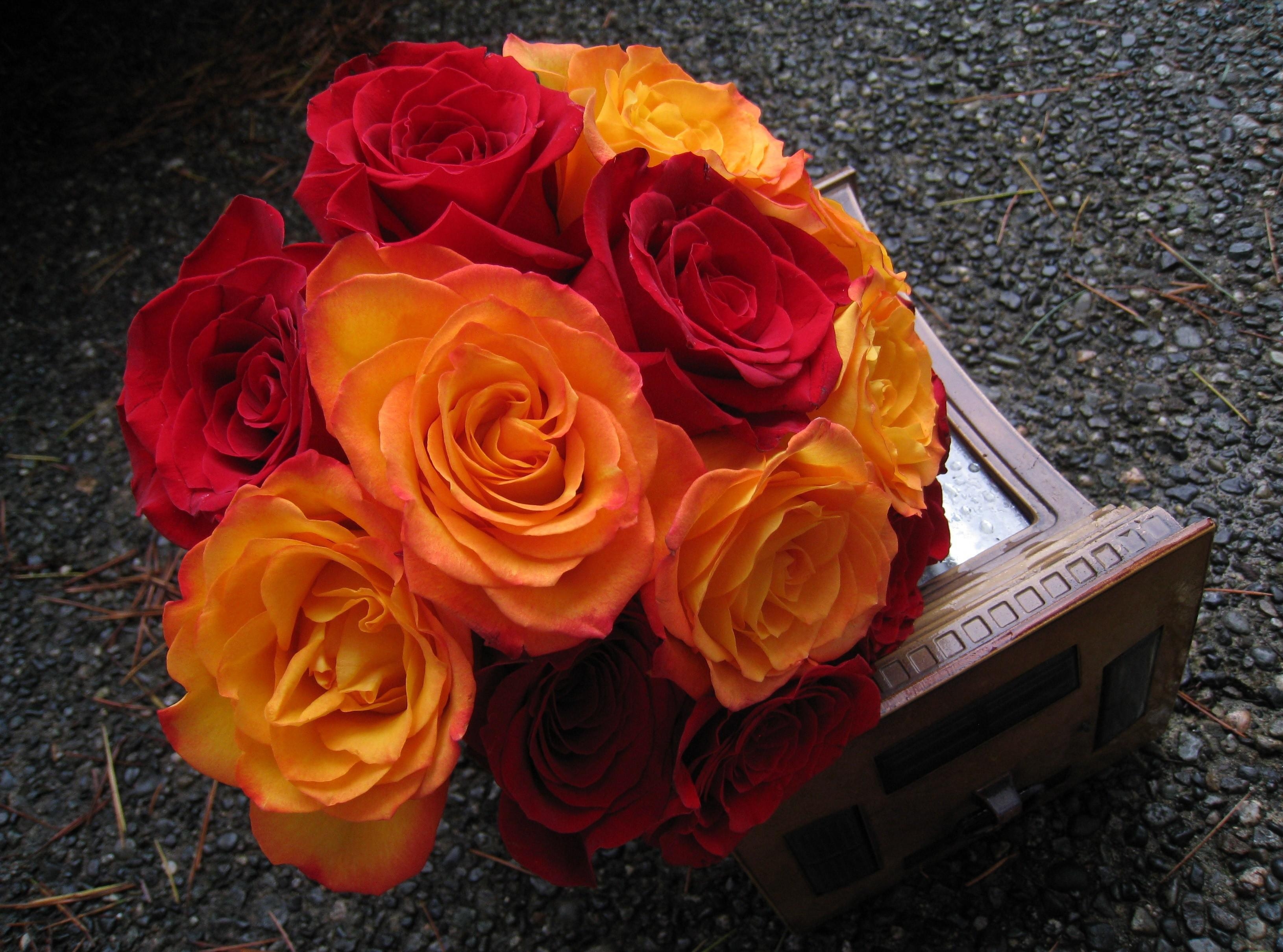 Téléchargez gratuitement l'image Noyaux, Bourgeons, Fleurs, Bouquet, Roses, Beauté sur le bureau de votre PC
