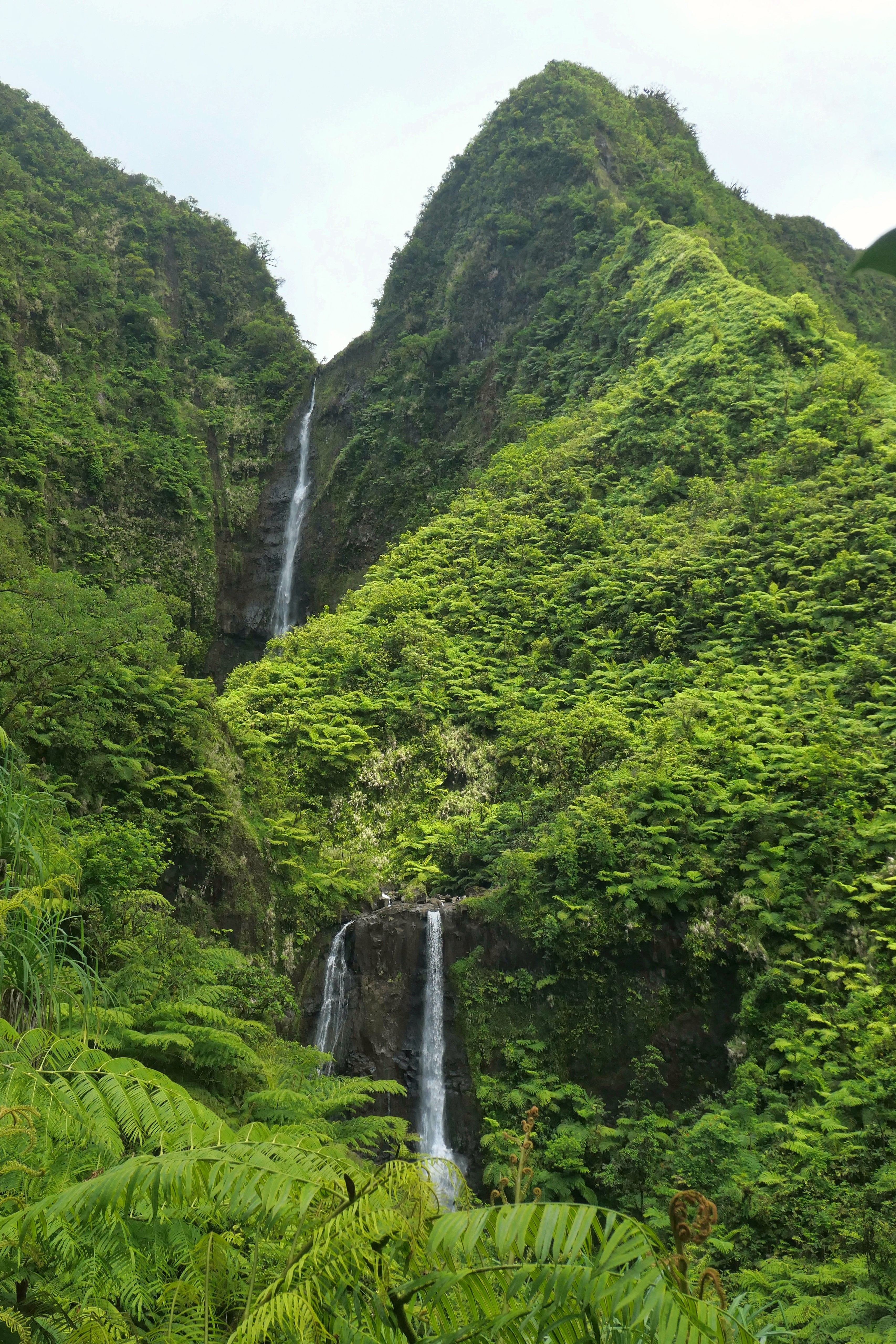 rock, plants, nature, waterfall, flow, stream cellphone