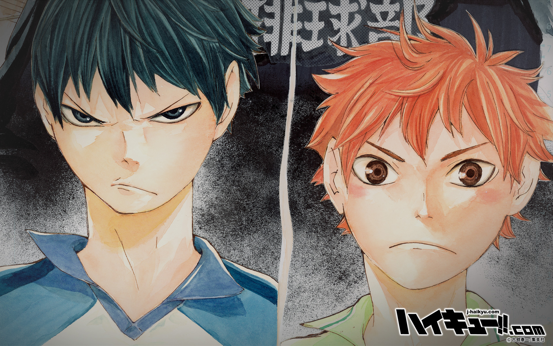 Haikyuu manga, anime, haikyuu, manga, HD phone wallpaper