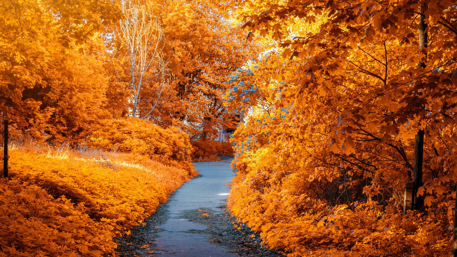 Какая сейчас осень. Осень. Красивая осень. Осенний пейзаж. Природа осень.