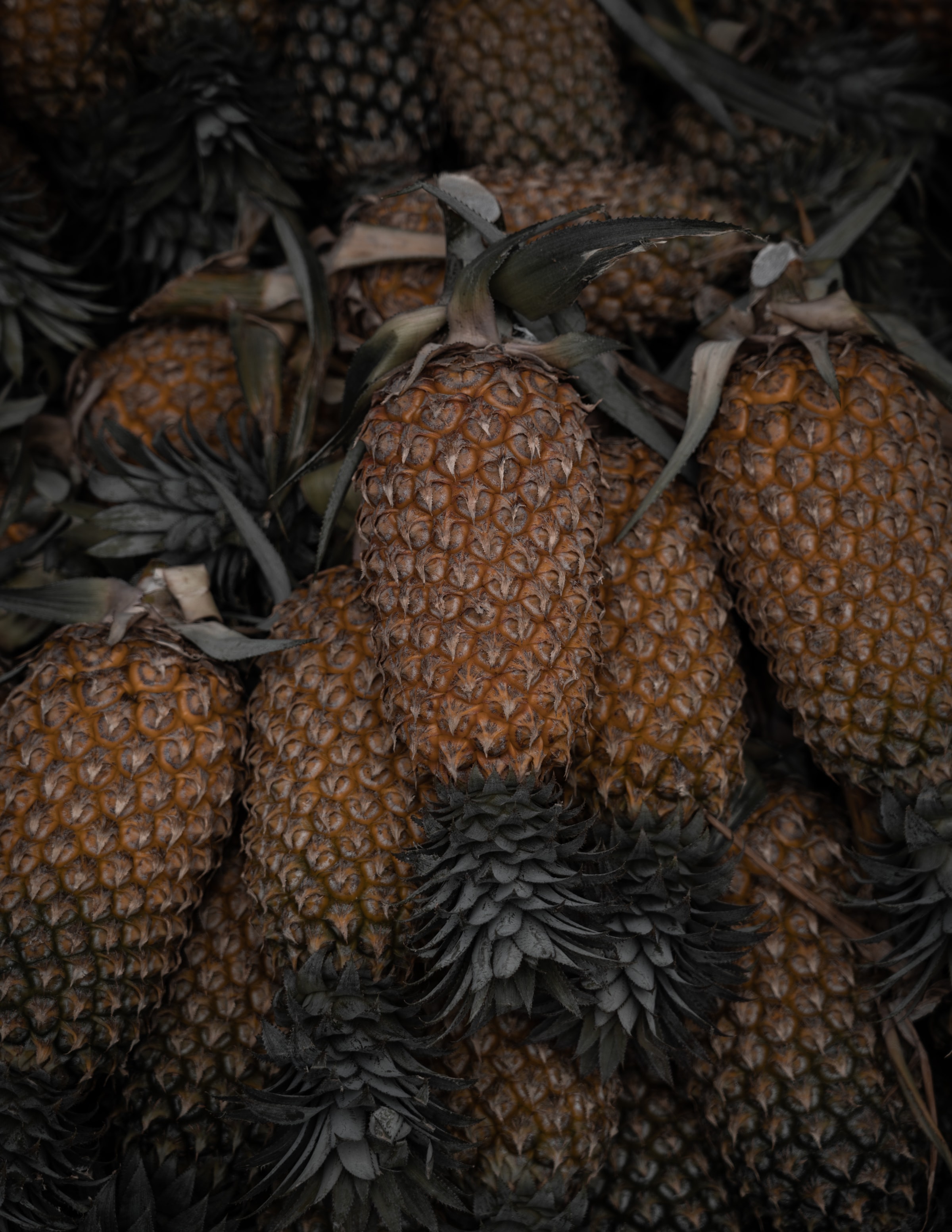 Download mobile wallpaper Macro, Leaves, Pineapple, Food, Fruits for free.
