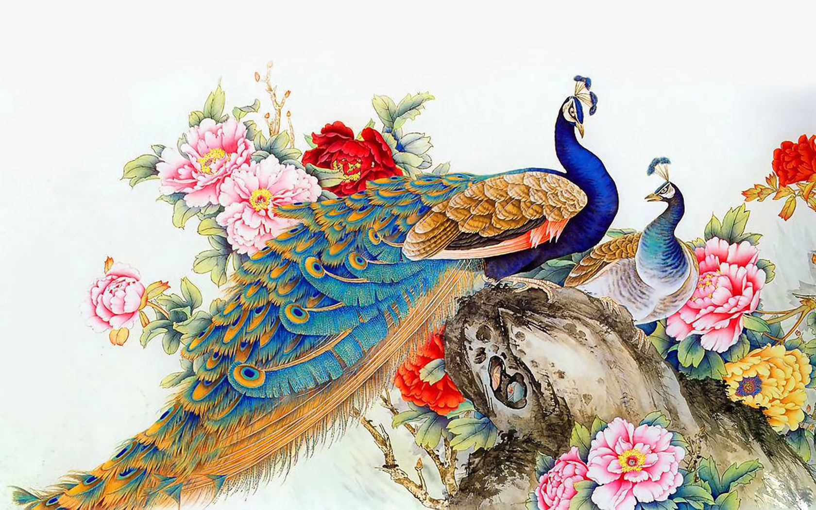 peacock, animal, bird, painting, birds