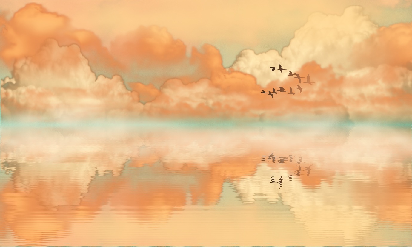 orange (color), artistic, nature, bird, cloud, lake, landscape, reflection, teal, water Free Stock Photo