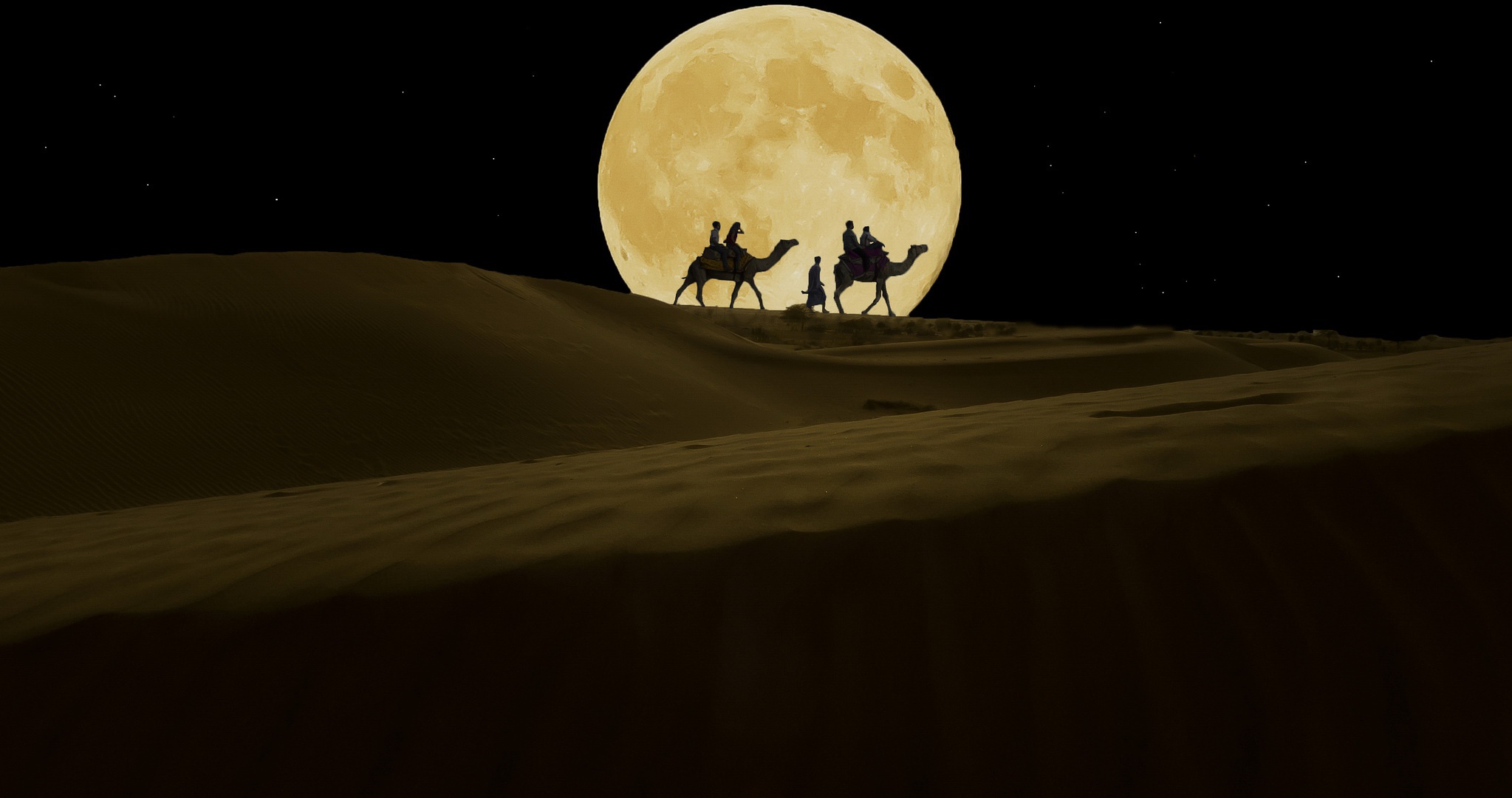 1021606 скачать обои караван, бедуин, фотографии, верблюды, пустыня, луна, ночь - заставки и картинки бесплатно