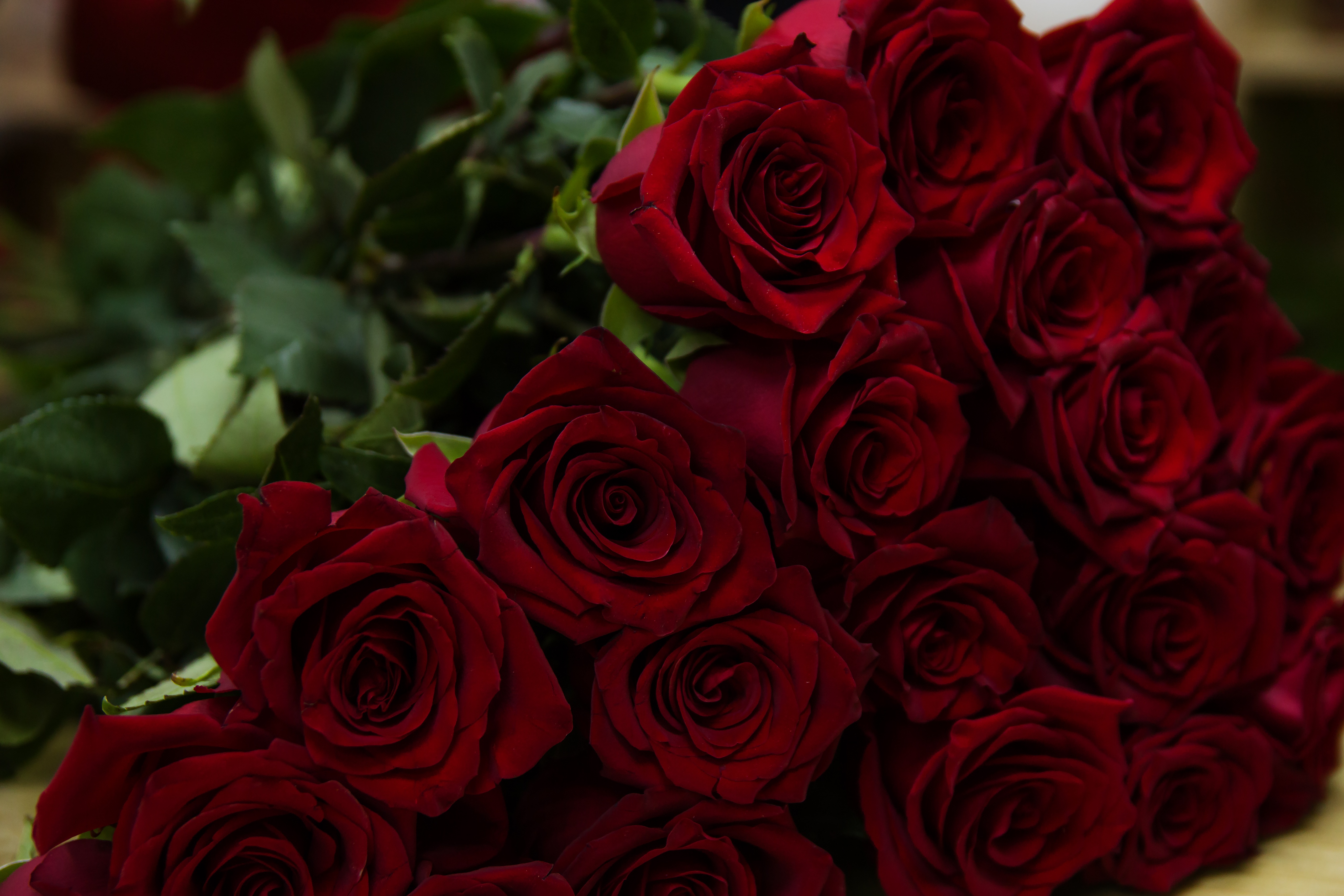 119721 скачать обои розы, букет, цветы, красный - заставки и картинки бесплатно
