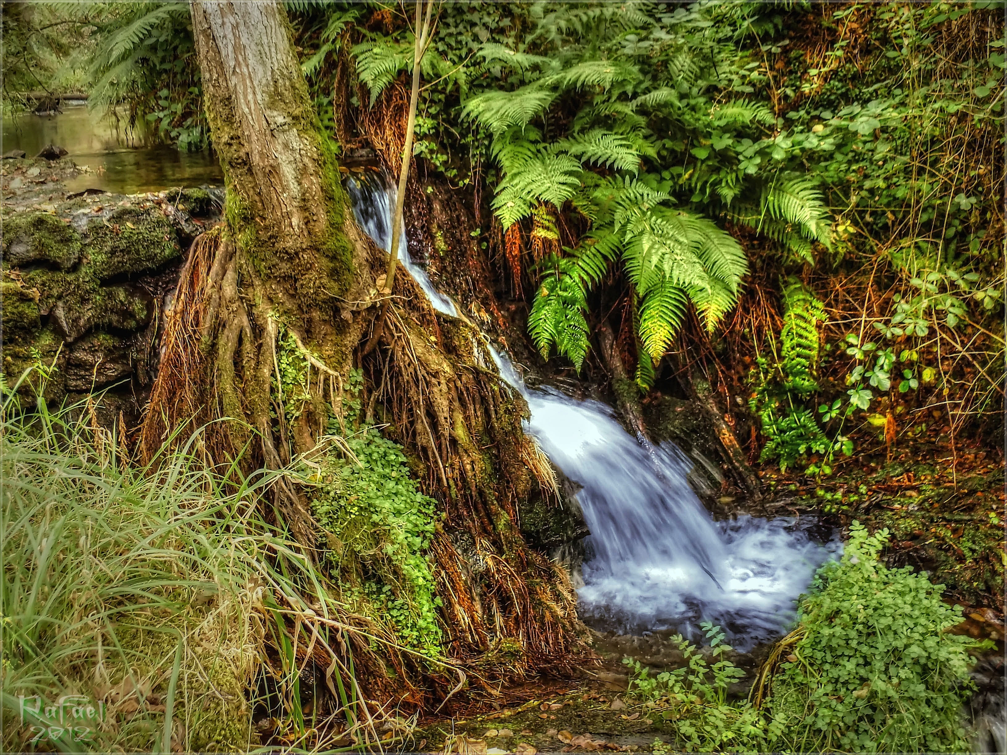 Download PC Wallpaper nature, creek, brook, river