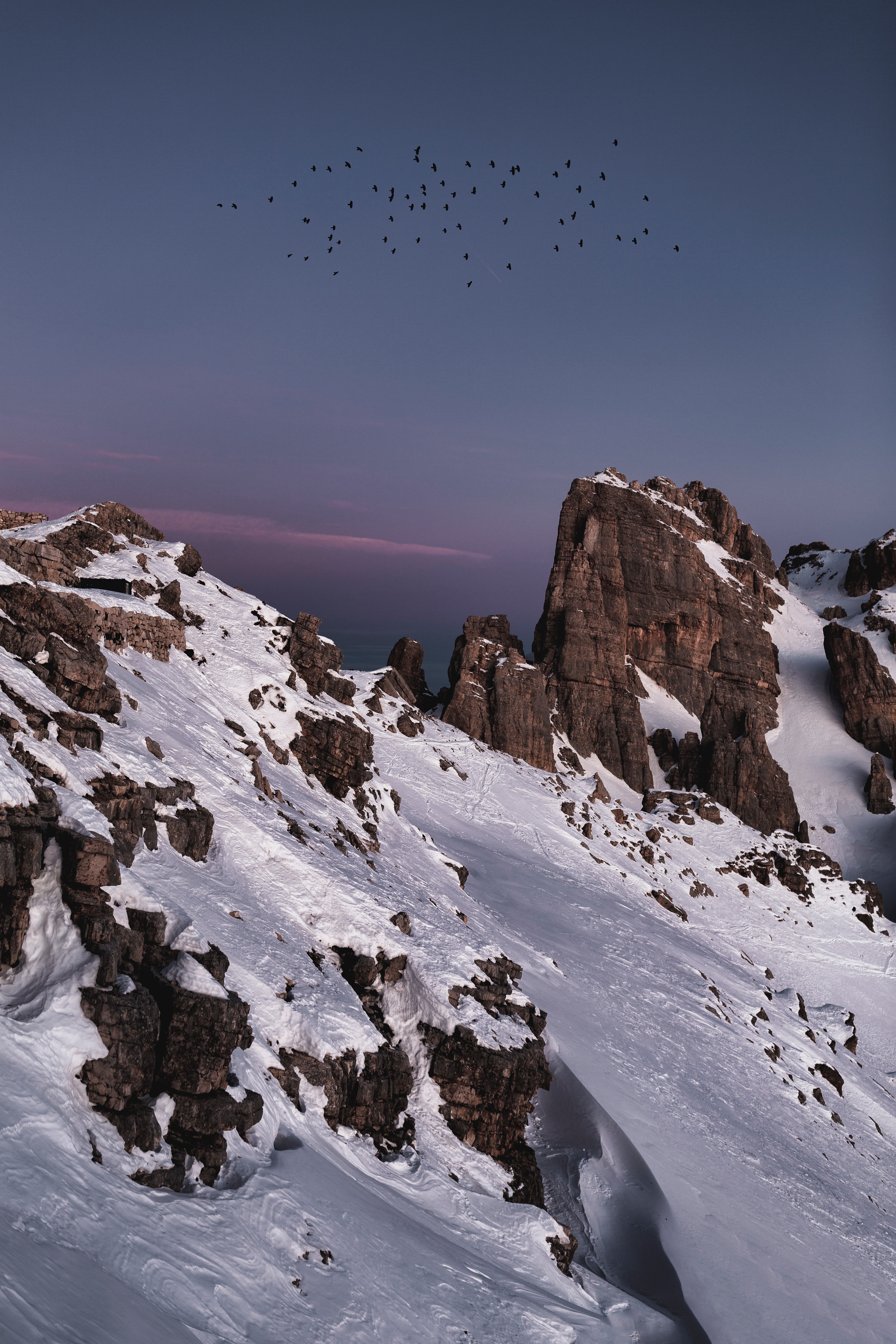snow, rocks, nature, birds, mountain 5K