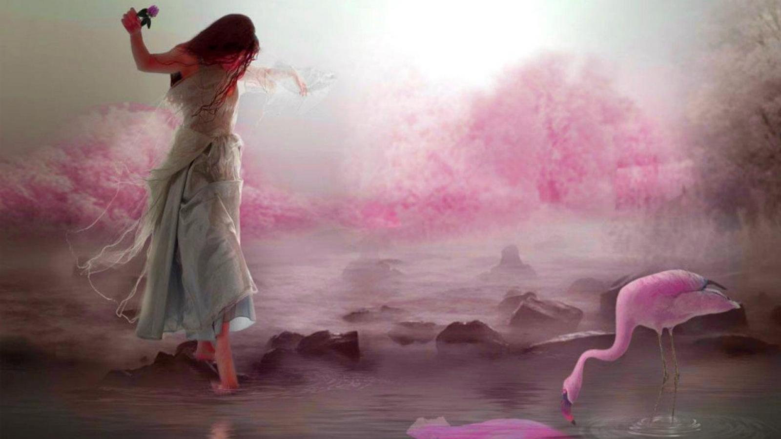 Слушать душевные истории. Душа женщины. Ранимая девушка. Душевные картинки. Девушка и розовые птицы.