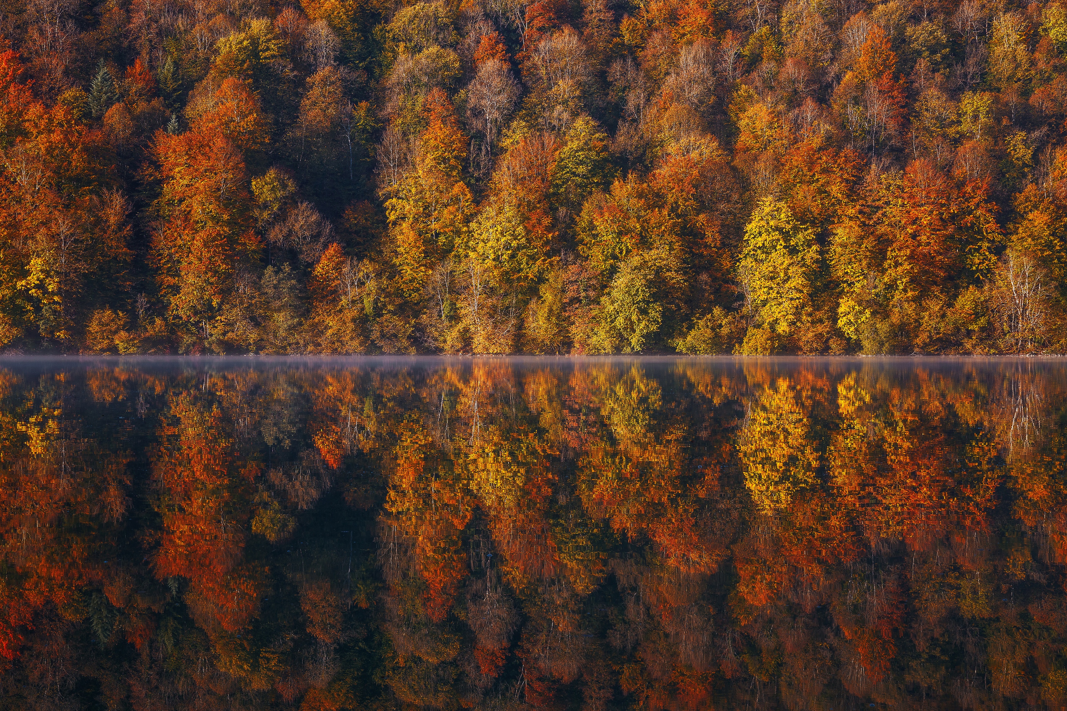 Осень фон с отражением