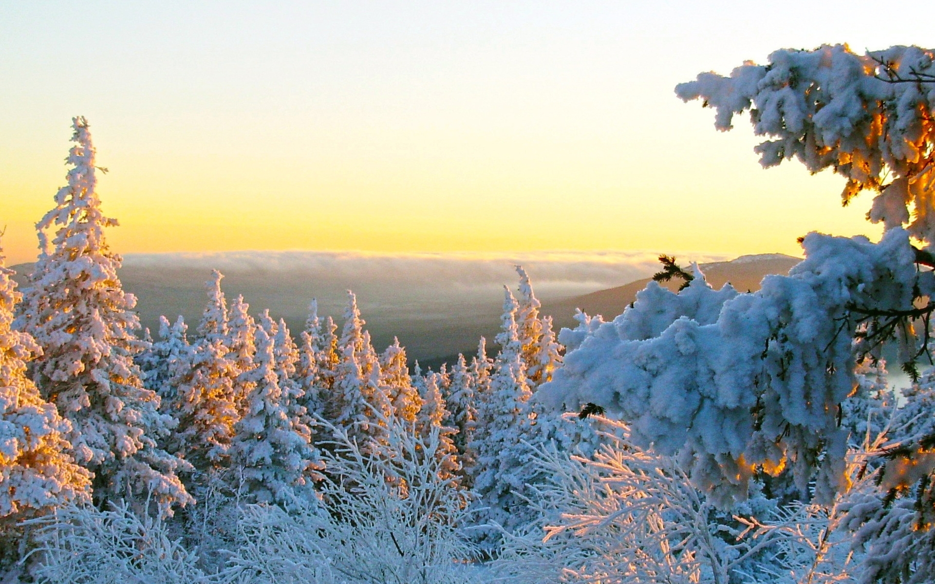 Download mobile wallpaper Winter, Landscape, Nature for free.