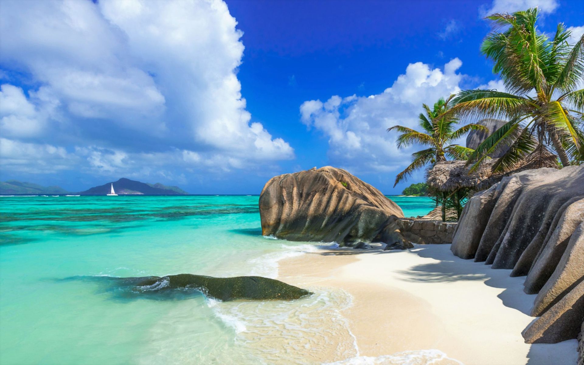 Download mobile wallpaper Sea, Beach, Ocean, Earth, Island, Tropical, Seychelles, Palm Tree for free.