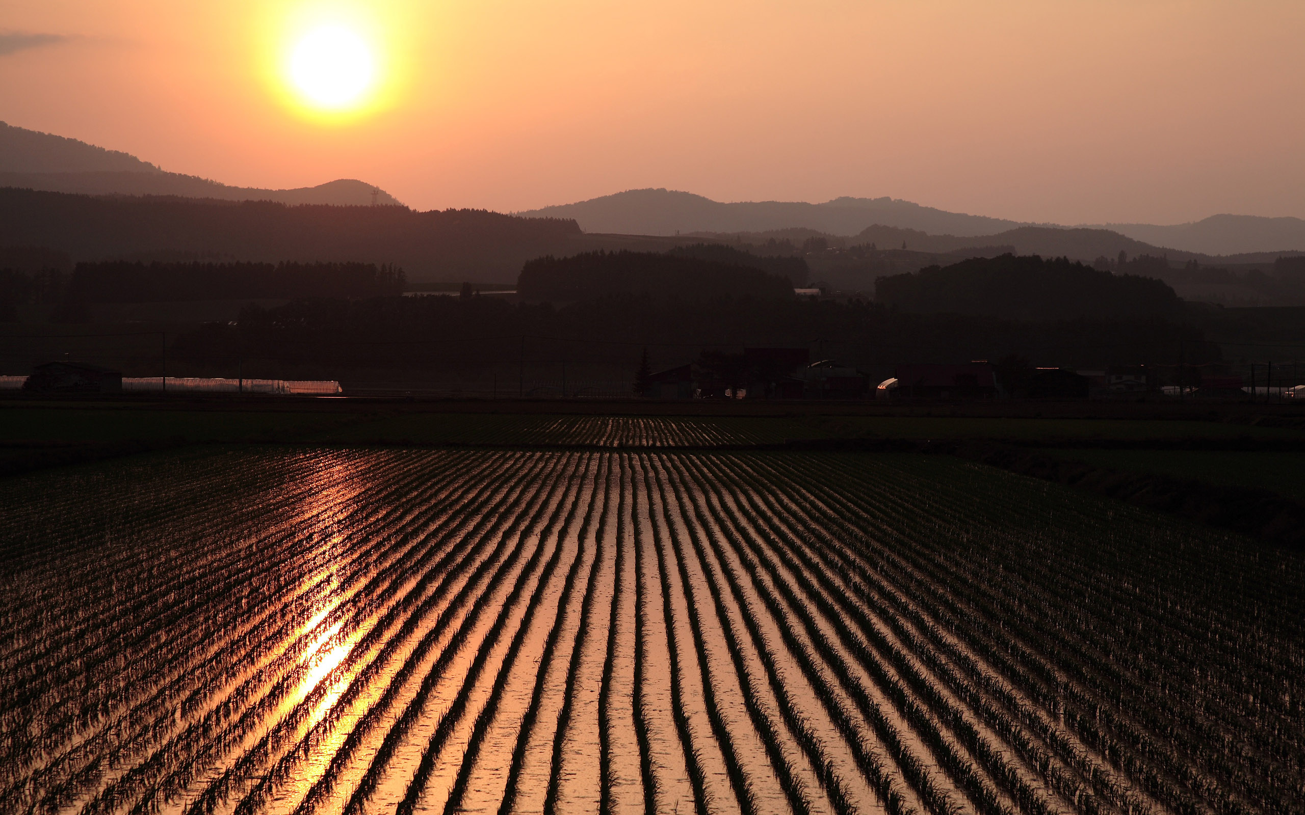 Free download wallpaper Sunset, Mountain, Field, Man Made, Rice Terrace on your PC desktop