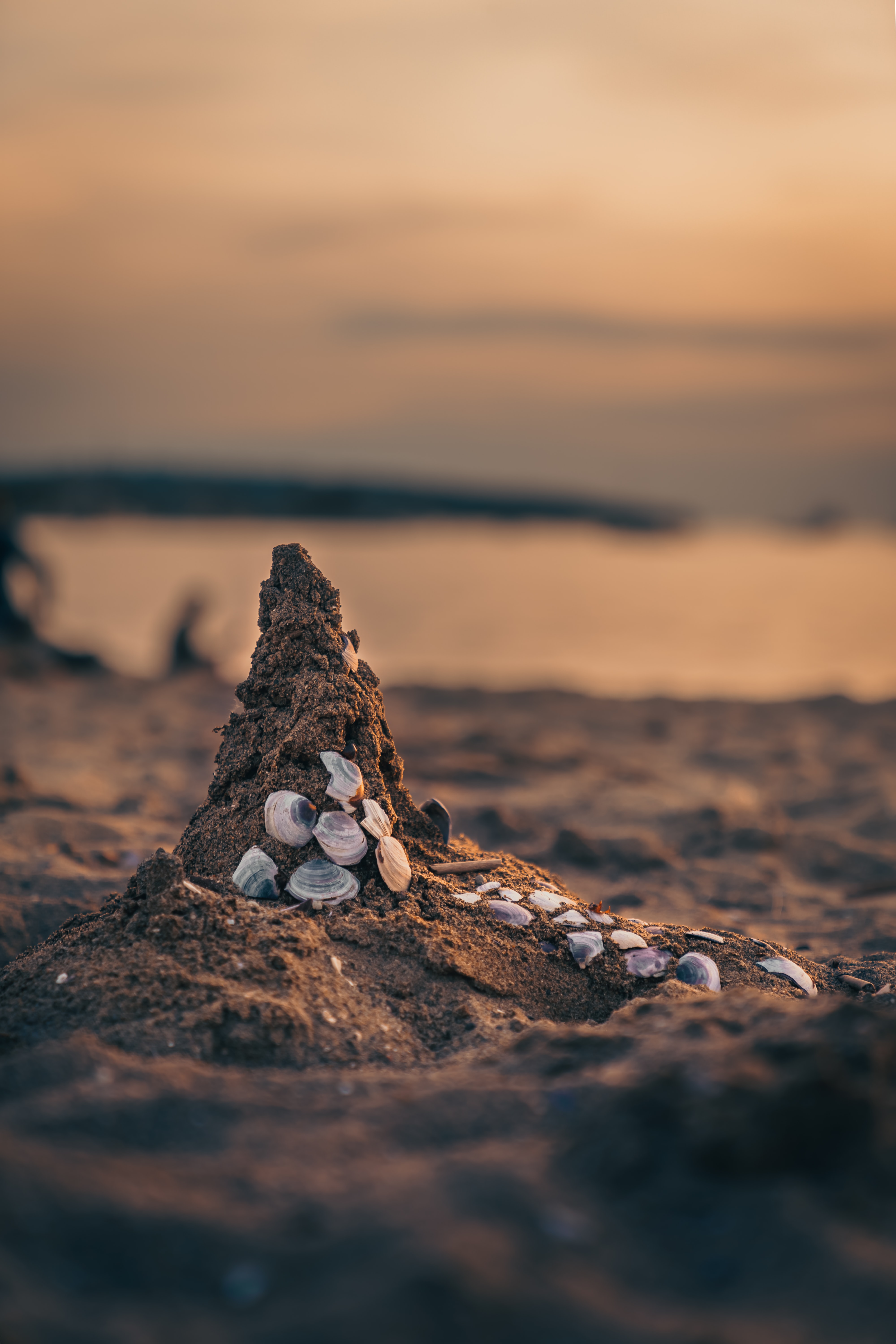 60857 Hintergrundbild herunterladen natur, sea, strand, sand, shells - Bildschirmschoner und Bilder kostenlos
