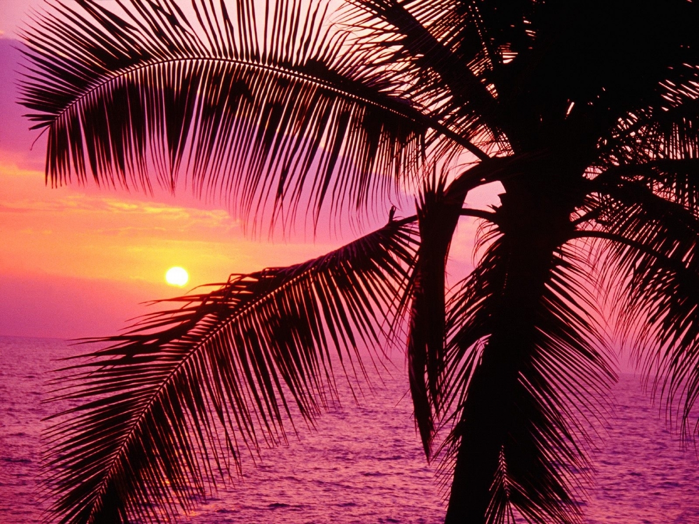 Download mobile wallpaper Landscape, Sea, Sunset for free.