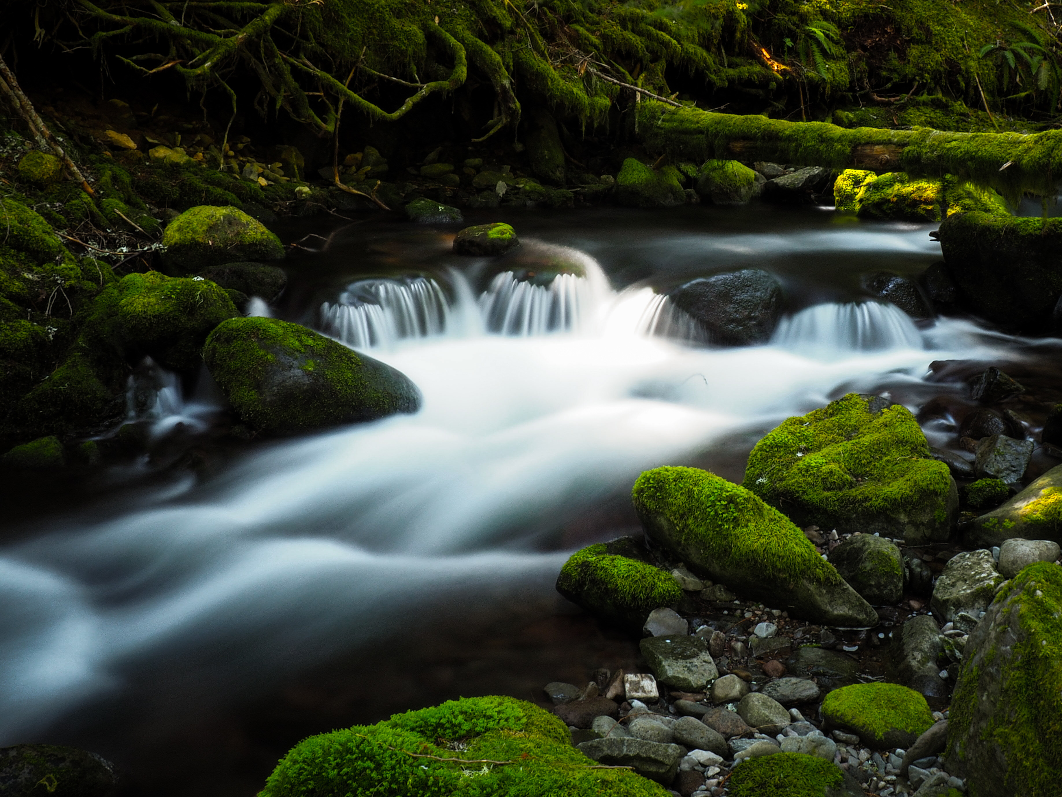 nature, water, rivers, stones, moss, creek, brook Smartphone Background