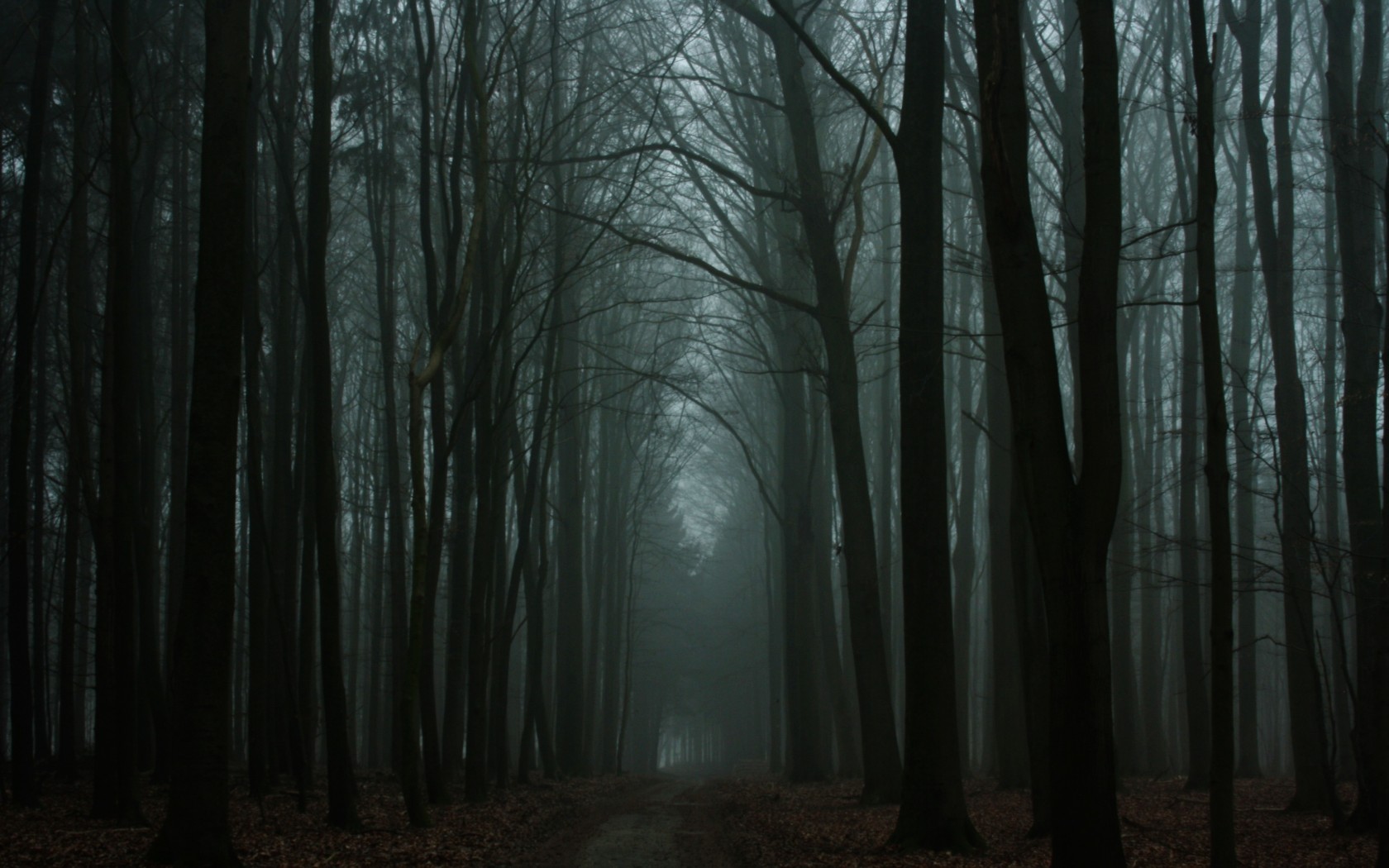 Темны1 лес