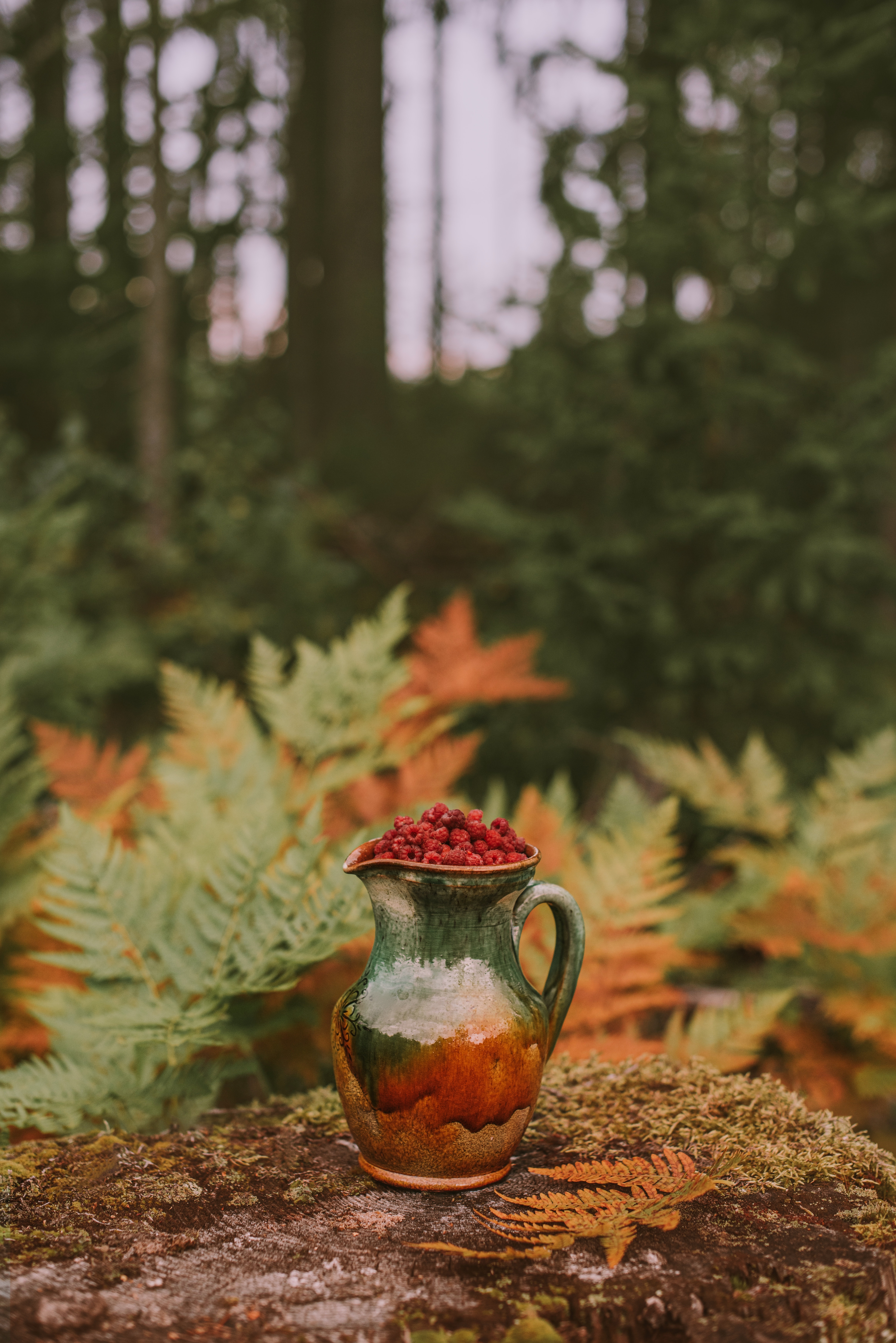 nature, food, autumn, raspberry, berries, jug