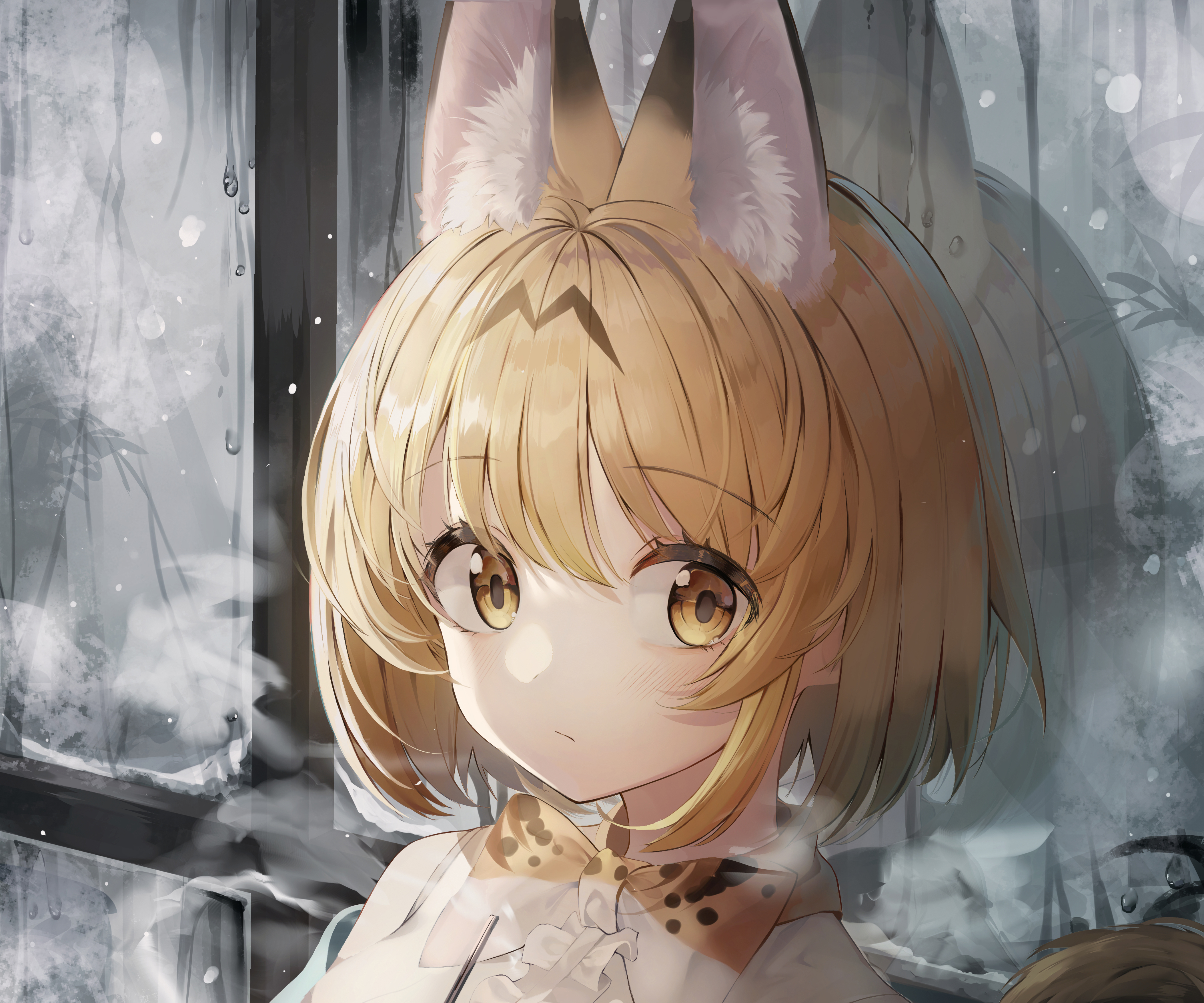 Kemono friends Serval. Kemono friends Совы. Kemono friends обои. Kemono friends снежный Барс.