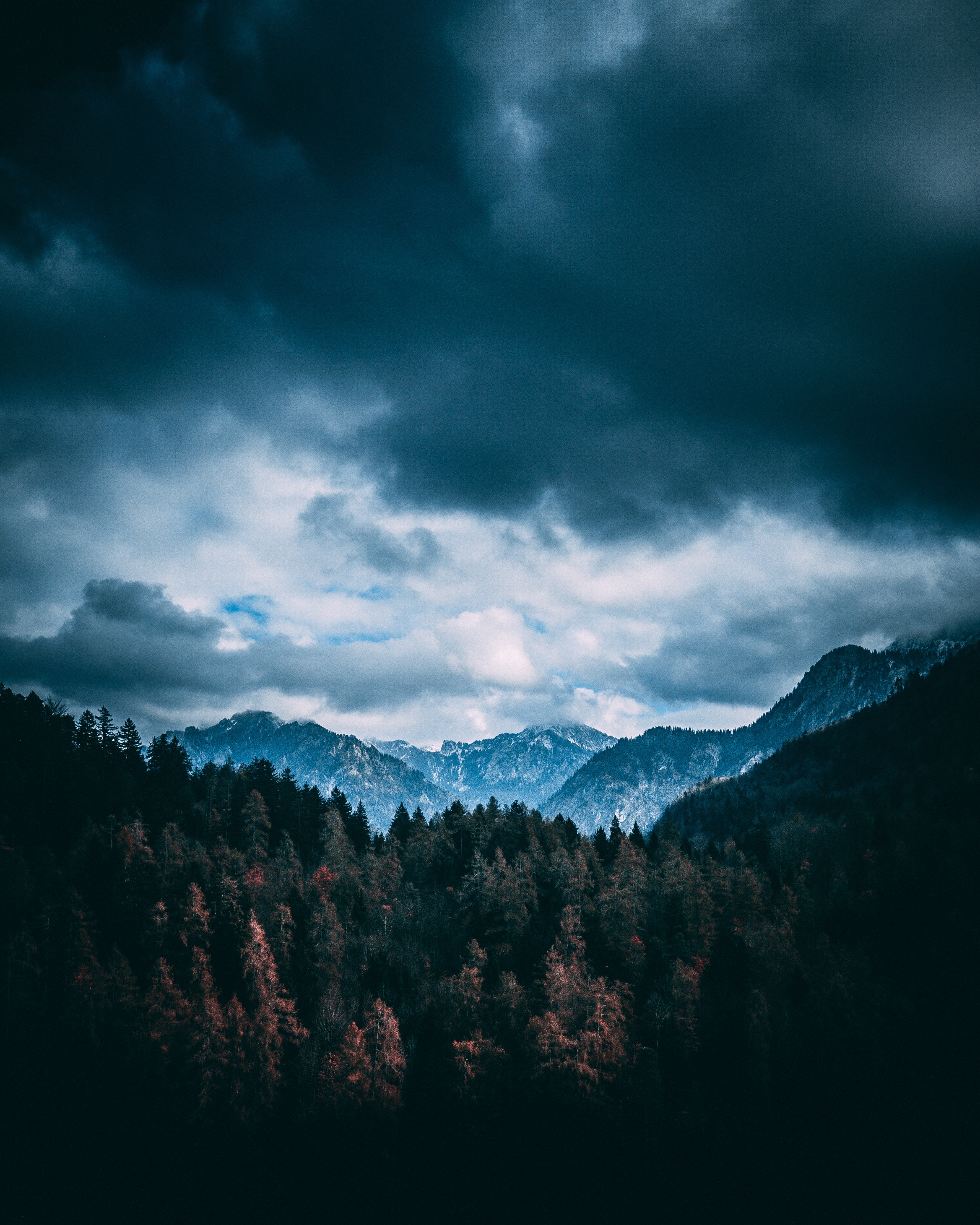 forest, clouds, nature, trees, mountains 1080p