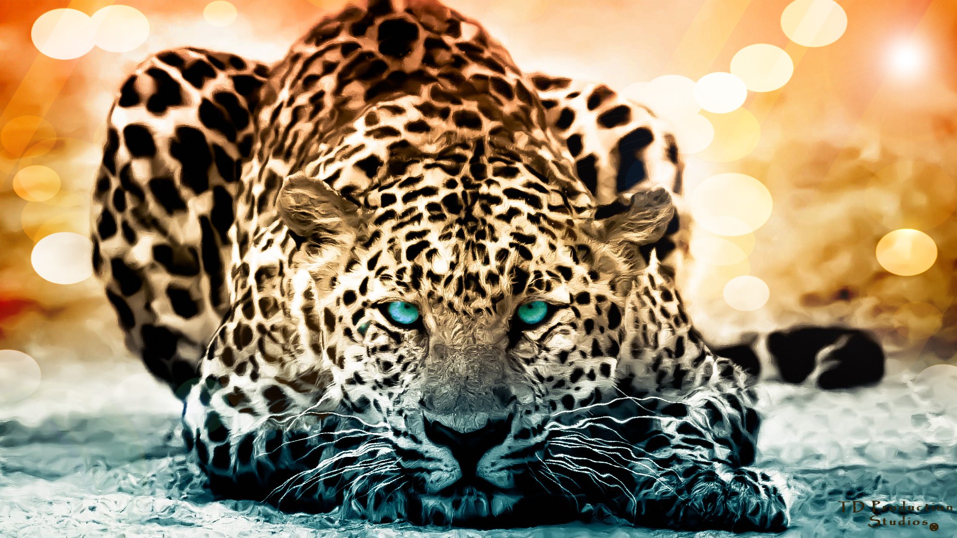 306693 Bild herunterladen katzen, tiere, leopard - Hintergrundbilder und Bildschirmschoner kostenlos