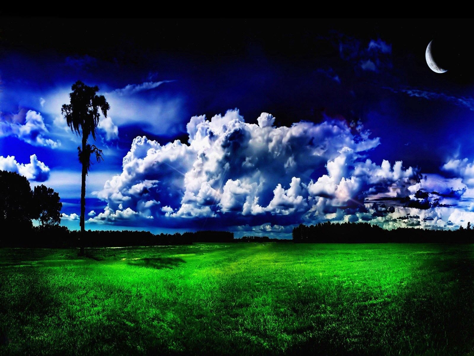 Download mobile wallpaper Grass, Clouds, Trees, Nature, Meadow, Greens, Moon for free.