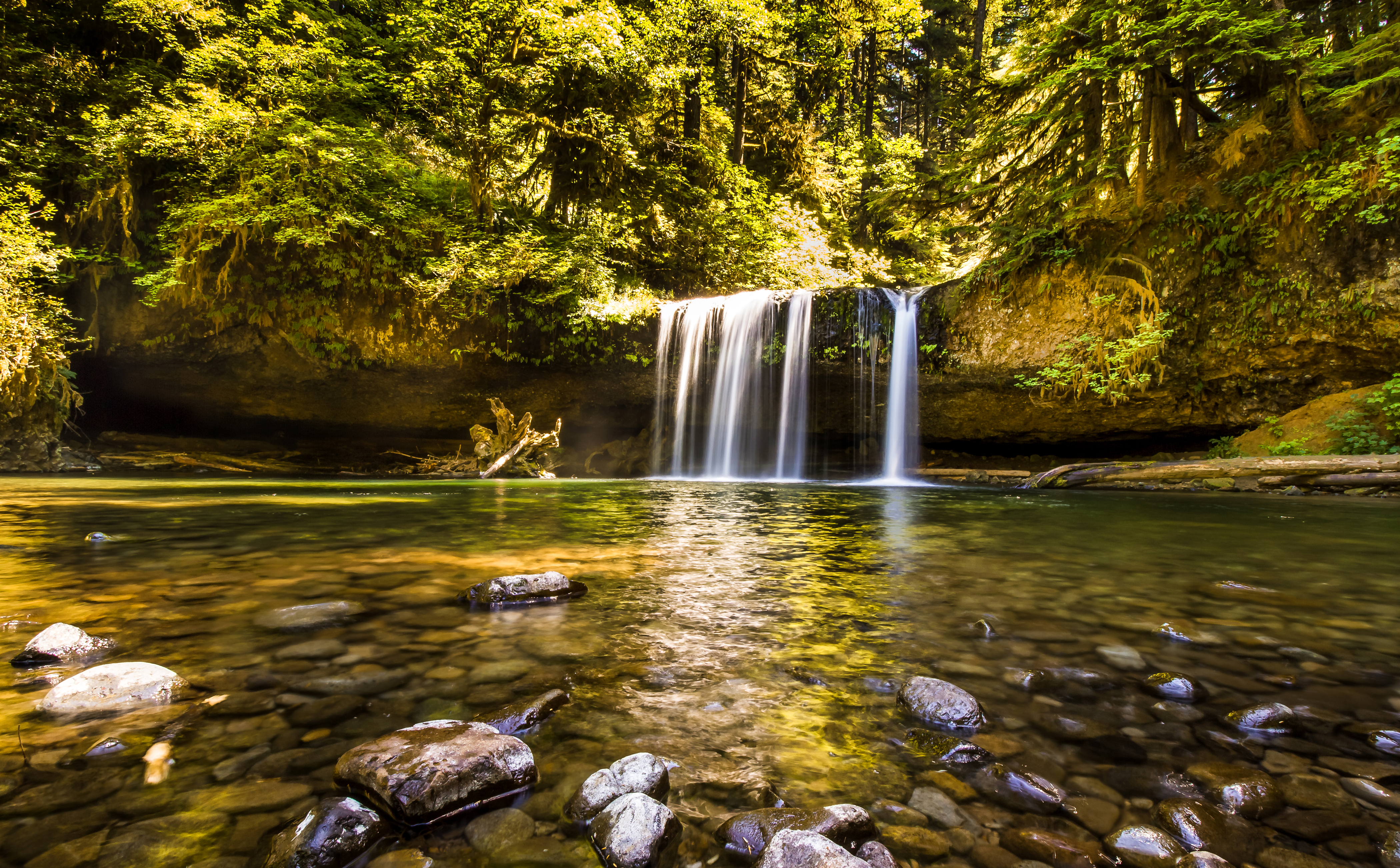 Download mobile wallpaper Nature, Waterfalls, Usa, Waterfall, Forest, Tree, Earth, Stone, Oregon, Sunny for free.