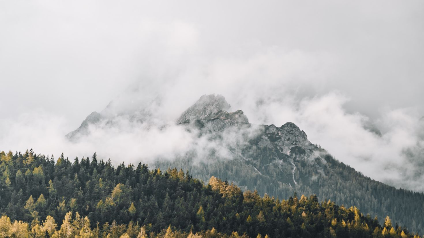 Горы и лес в тумане 4к