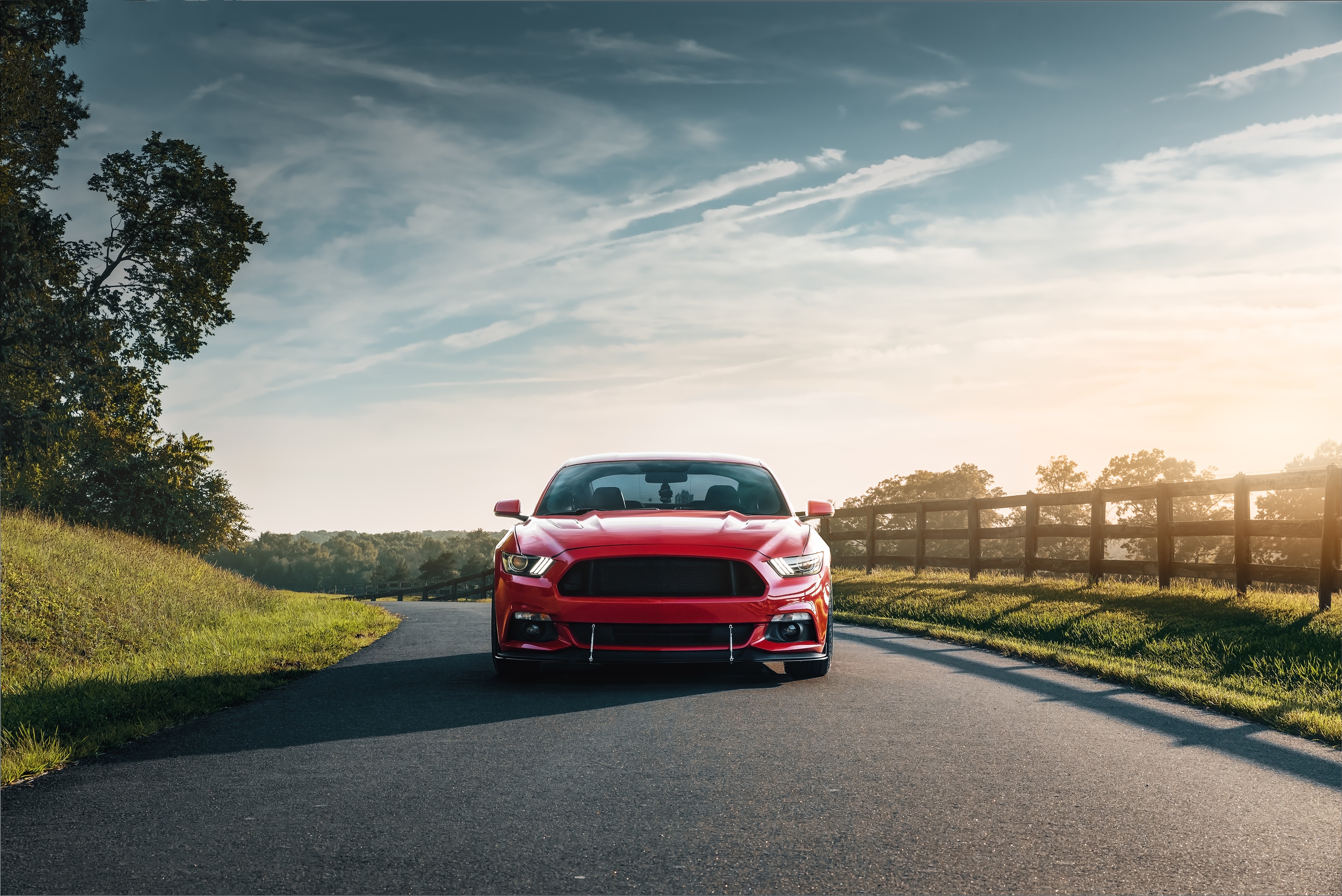 Red Mustang HD