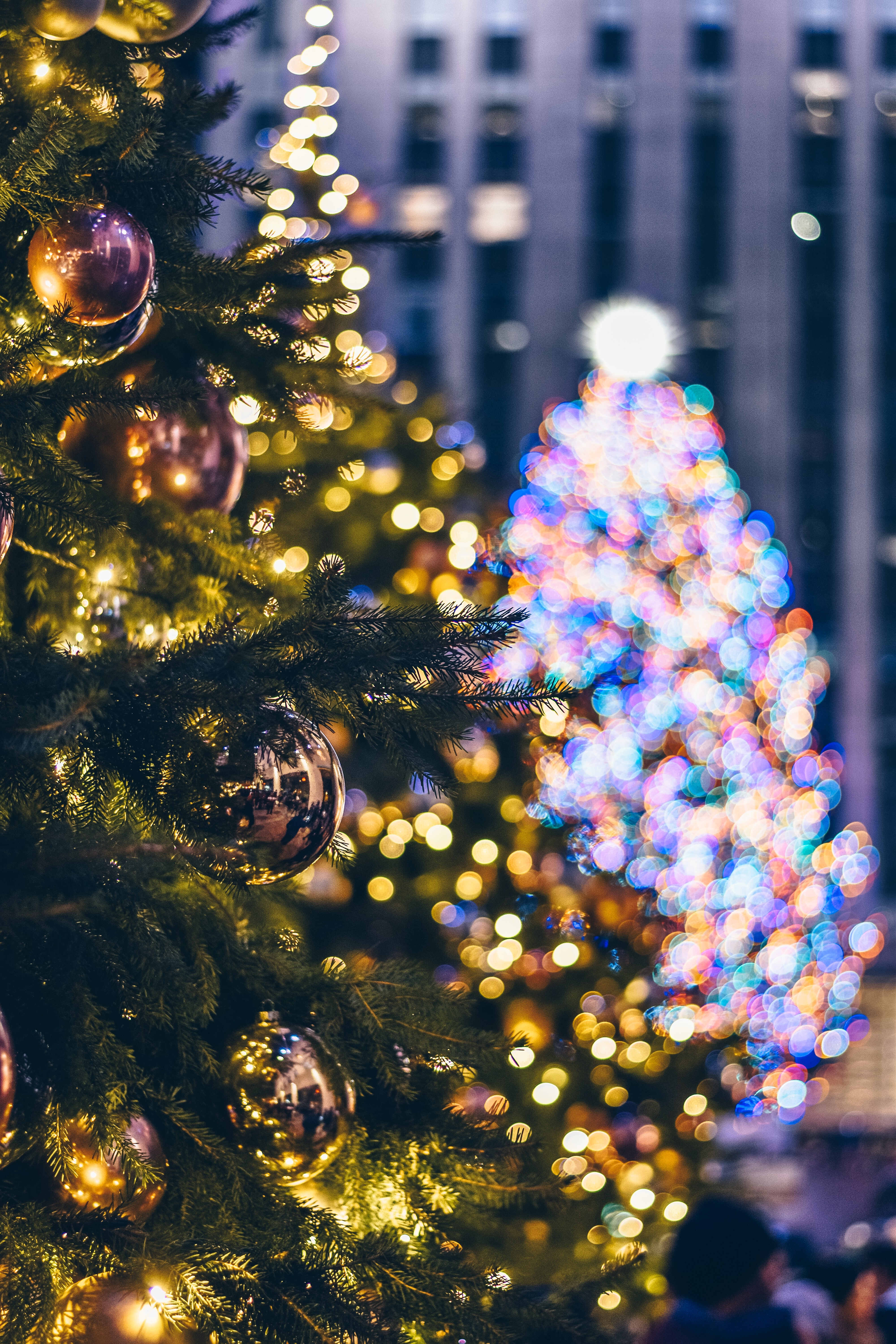 christmas, lights, christmas tree, garland, new year, holidays, decorations, garlands iphone wallpaper