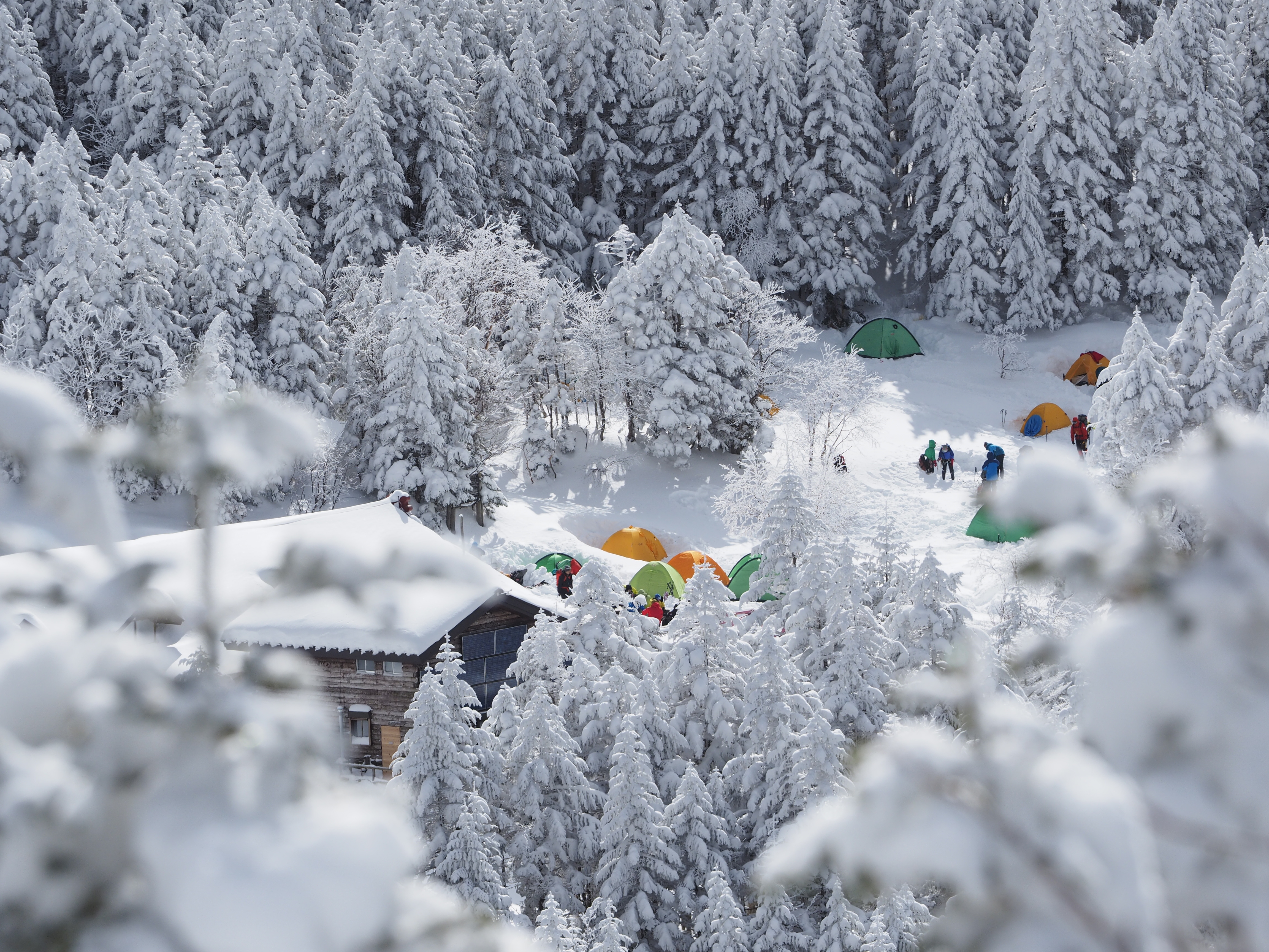 winter, snow, miscellanea, miscellaneous, forest, camping, campsite, tents cellphone