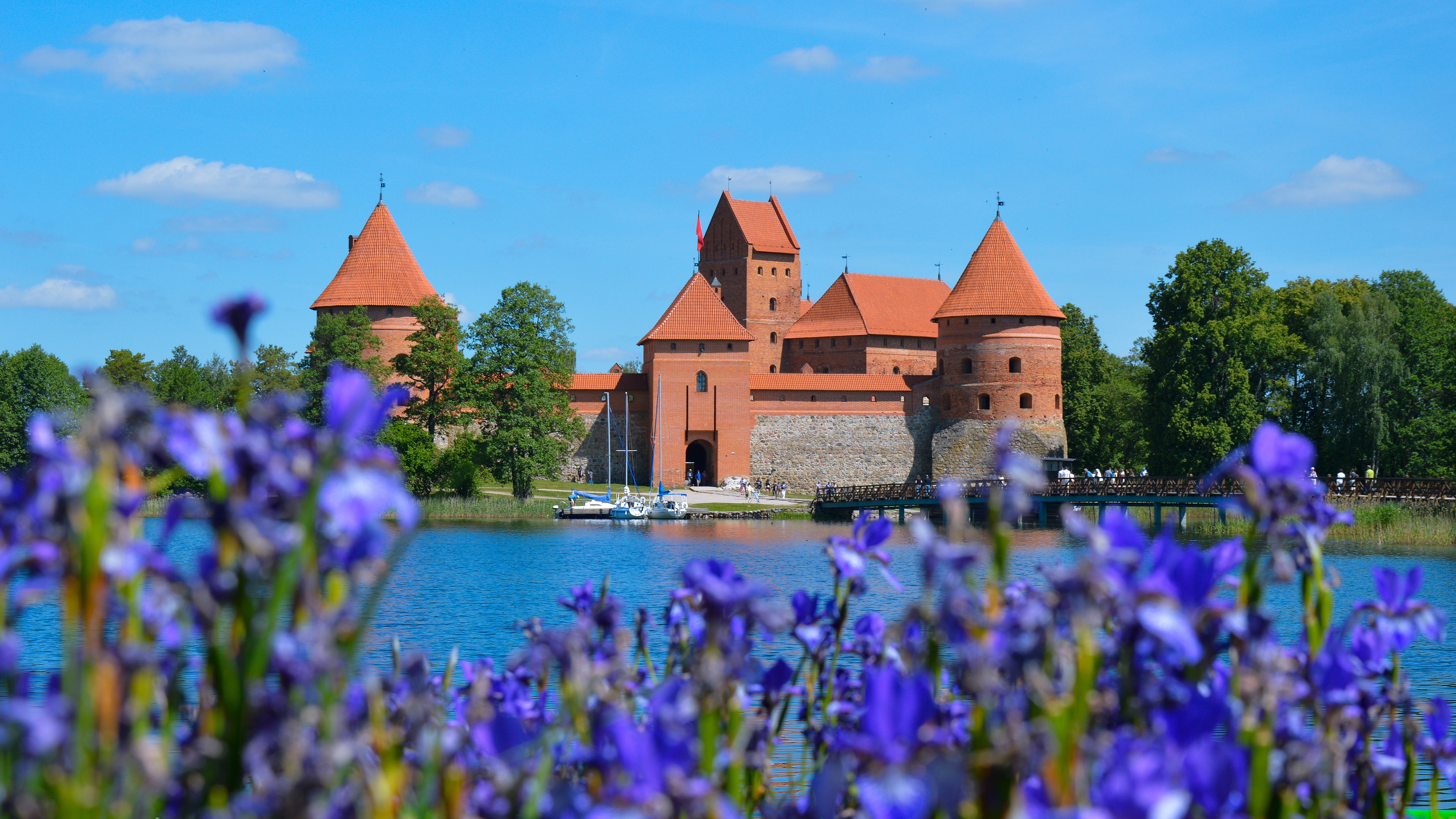 man made, trakai island castle, bridge, castle, flower, lithuania, castles High Definition image