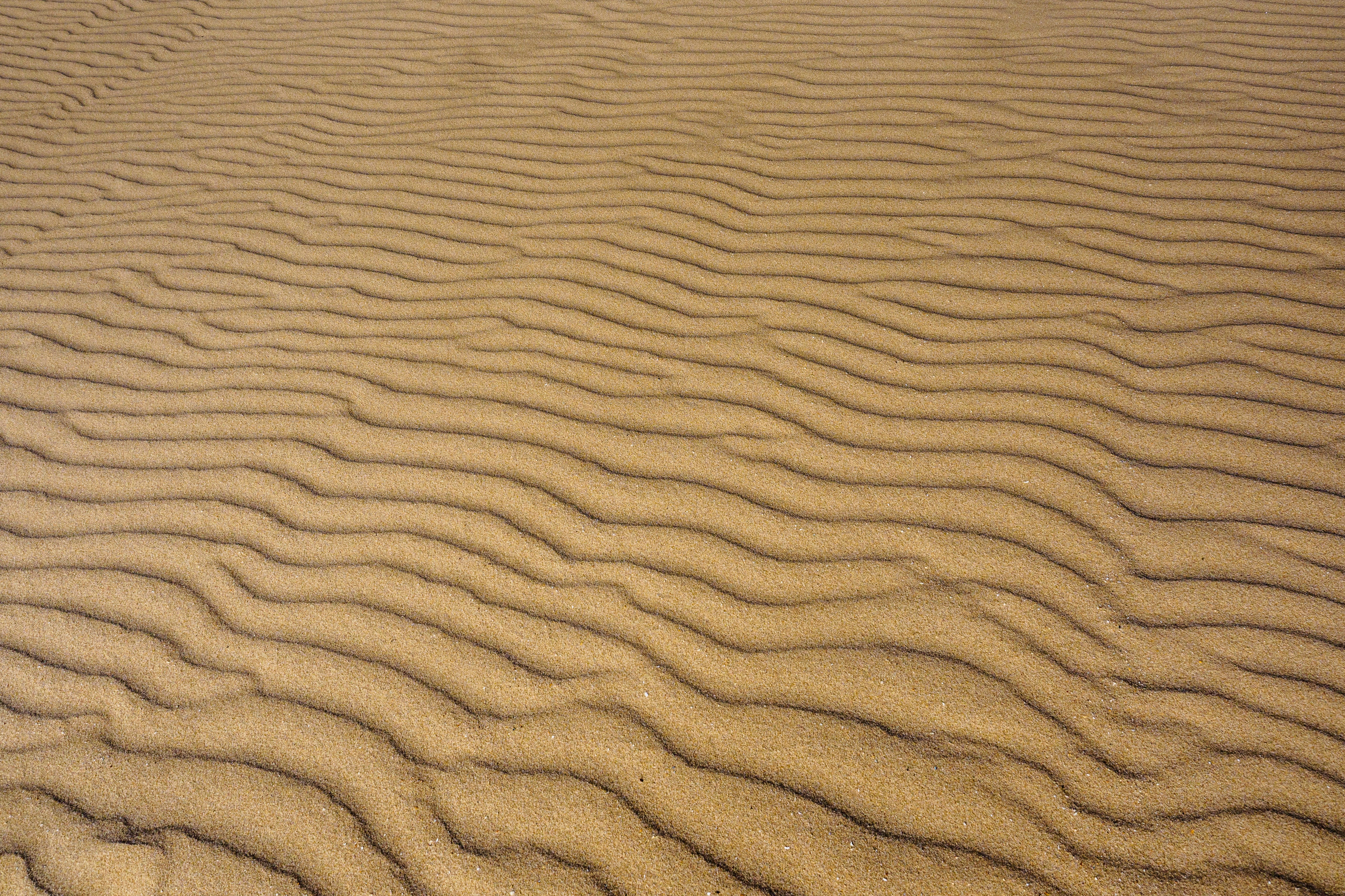 Линия на песке