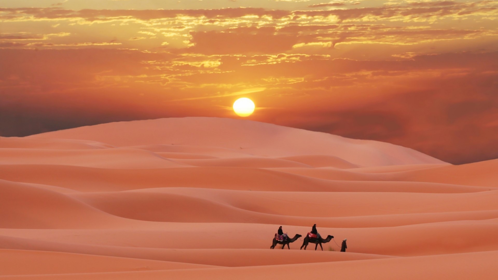 landscape, sunset, sand, desert, camels, red
