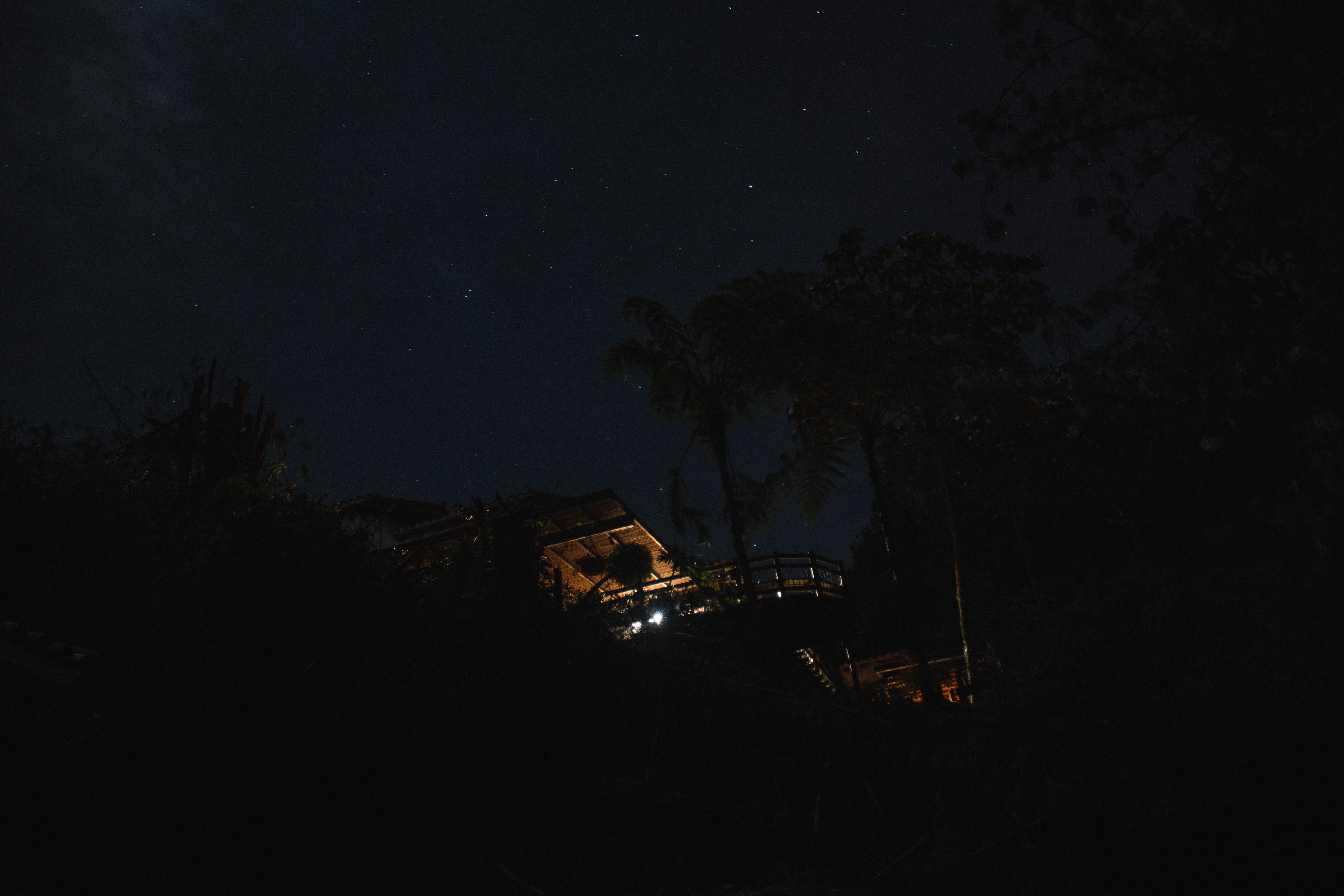 night, palms, dark, starry sky, house
