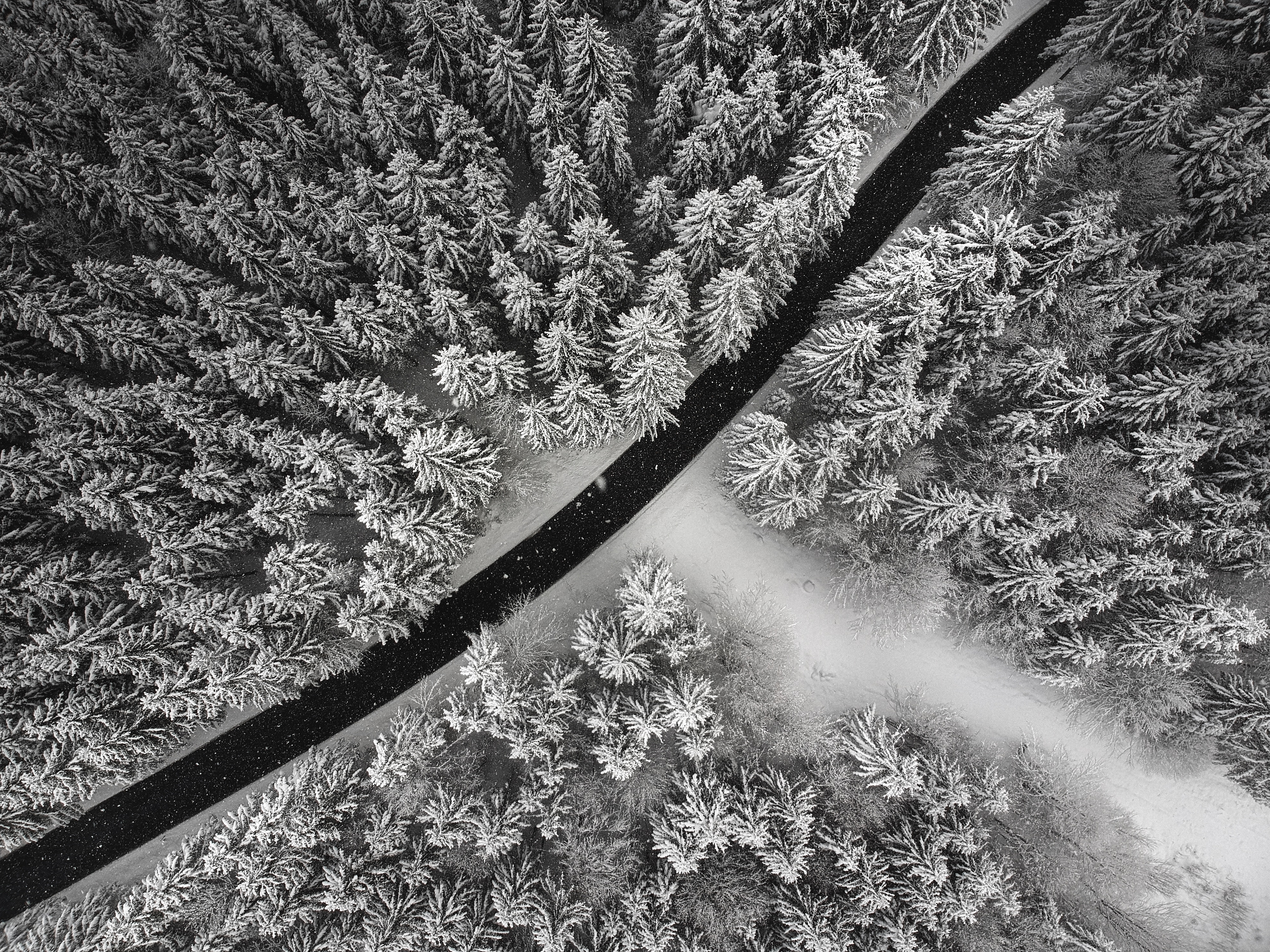 120706 Hintergrundbild herunterladen winter, natur, bäume, schnee, blick von oben, straße, wald - Bildschirmschoner und Bilder kostenlos