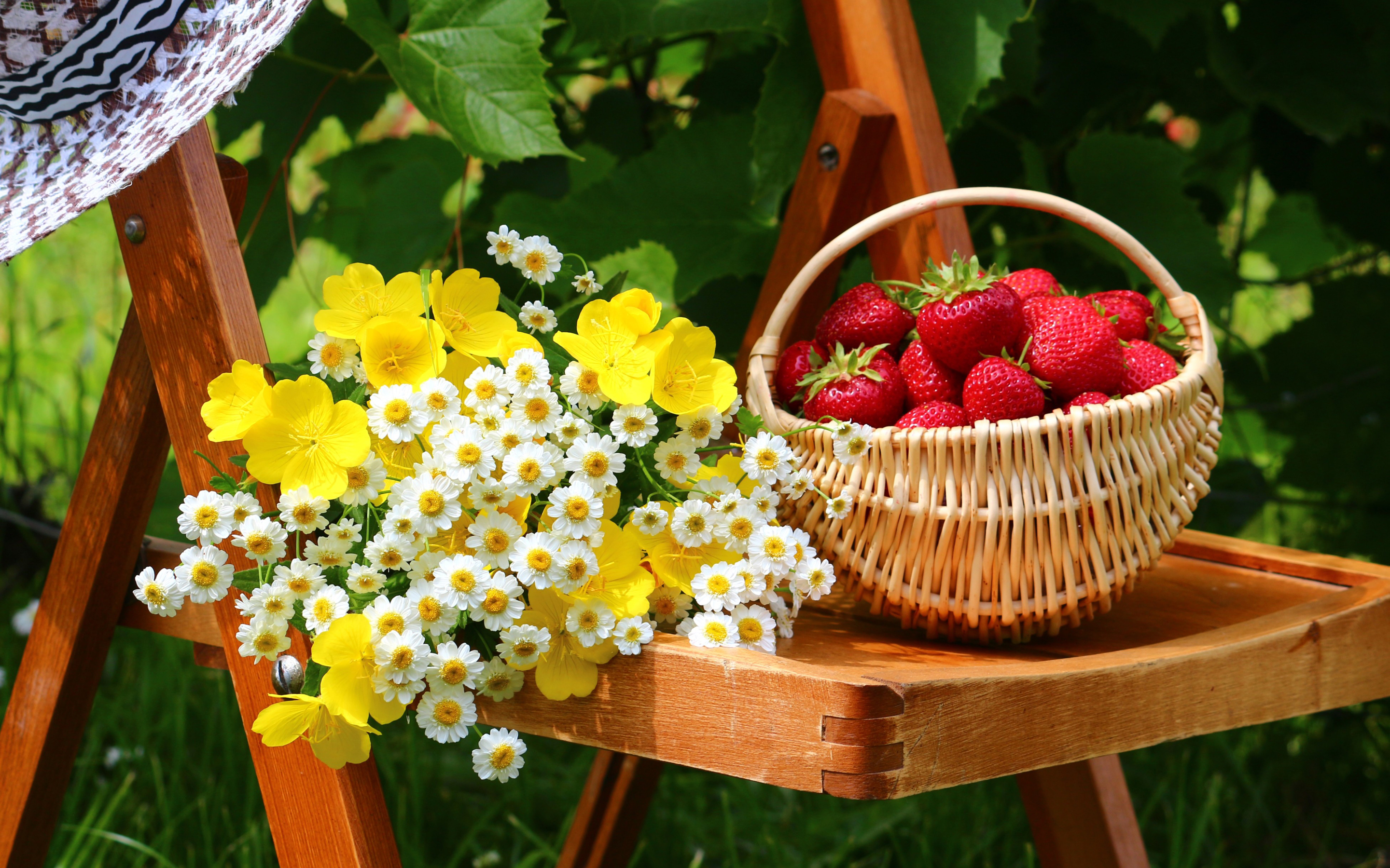 garden, nature, food, strawberry, basket, flower, fruits Free Stock Photo