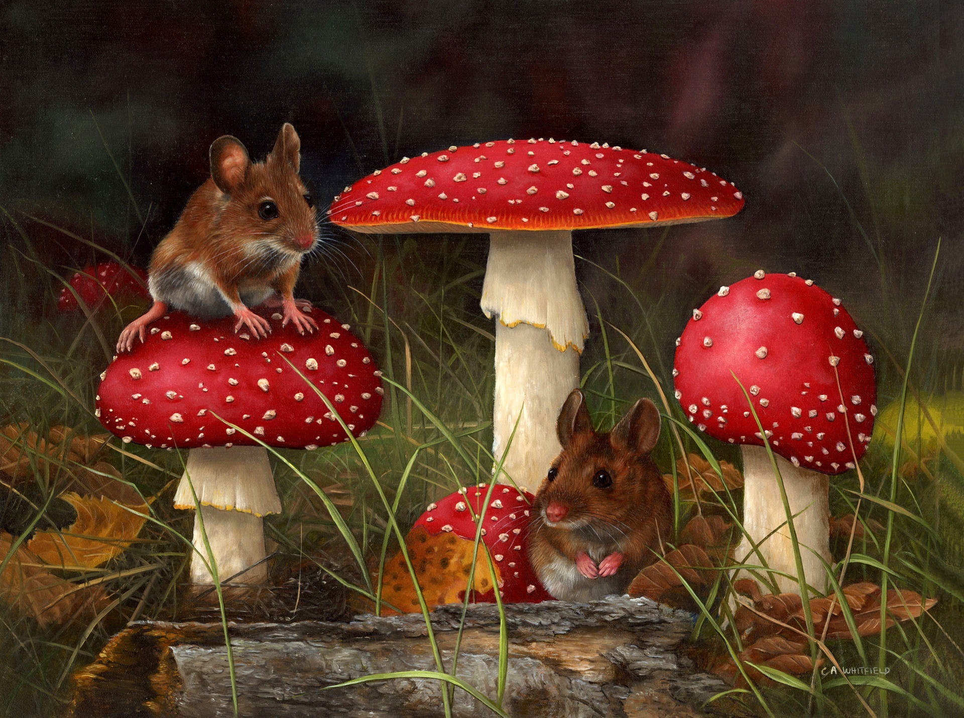 mushroom, artistic, fall, mouse, nature, painting