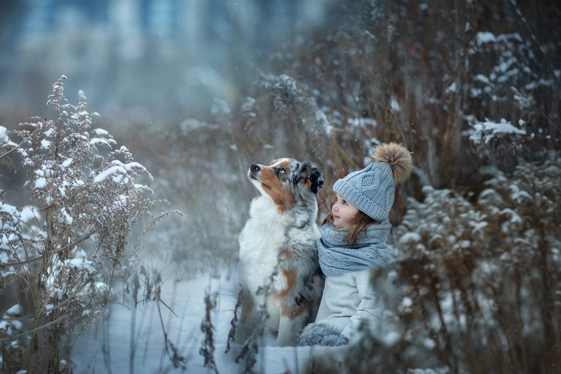 winter, little girl, child, photography, australian shepherd, dog, hat