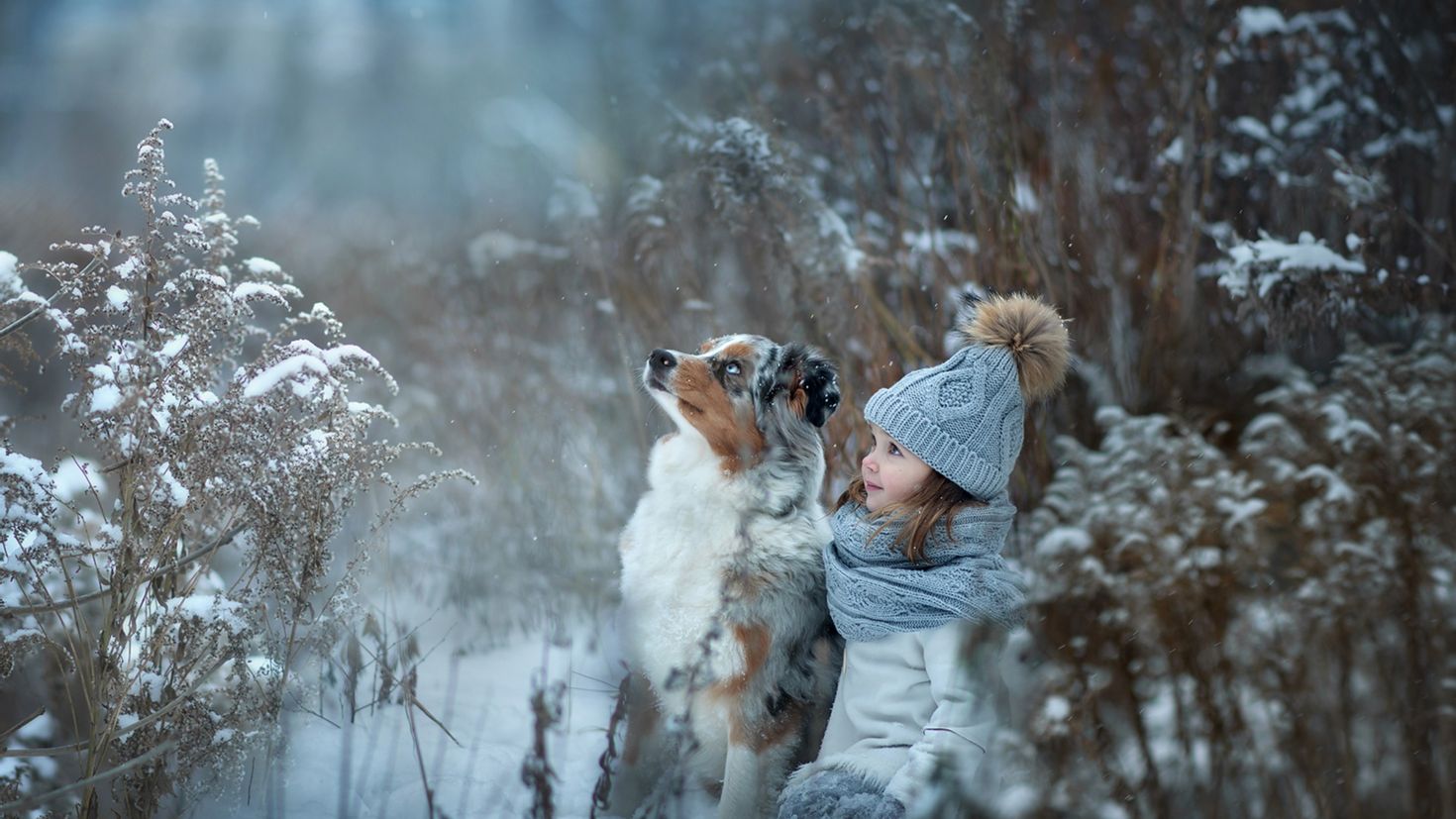 Зимний фотограф. Зимняя фотосессия с собакой. Зимняя фотосессия на природе. Дети и животные зима. Фотосессия с собакой зимой.