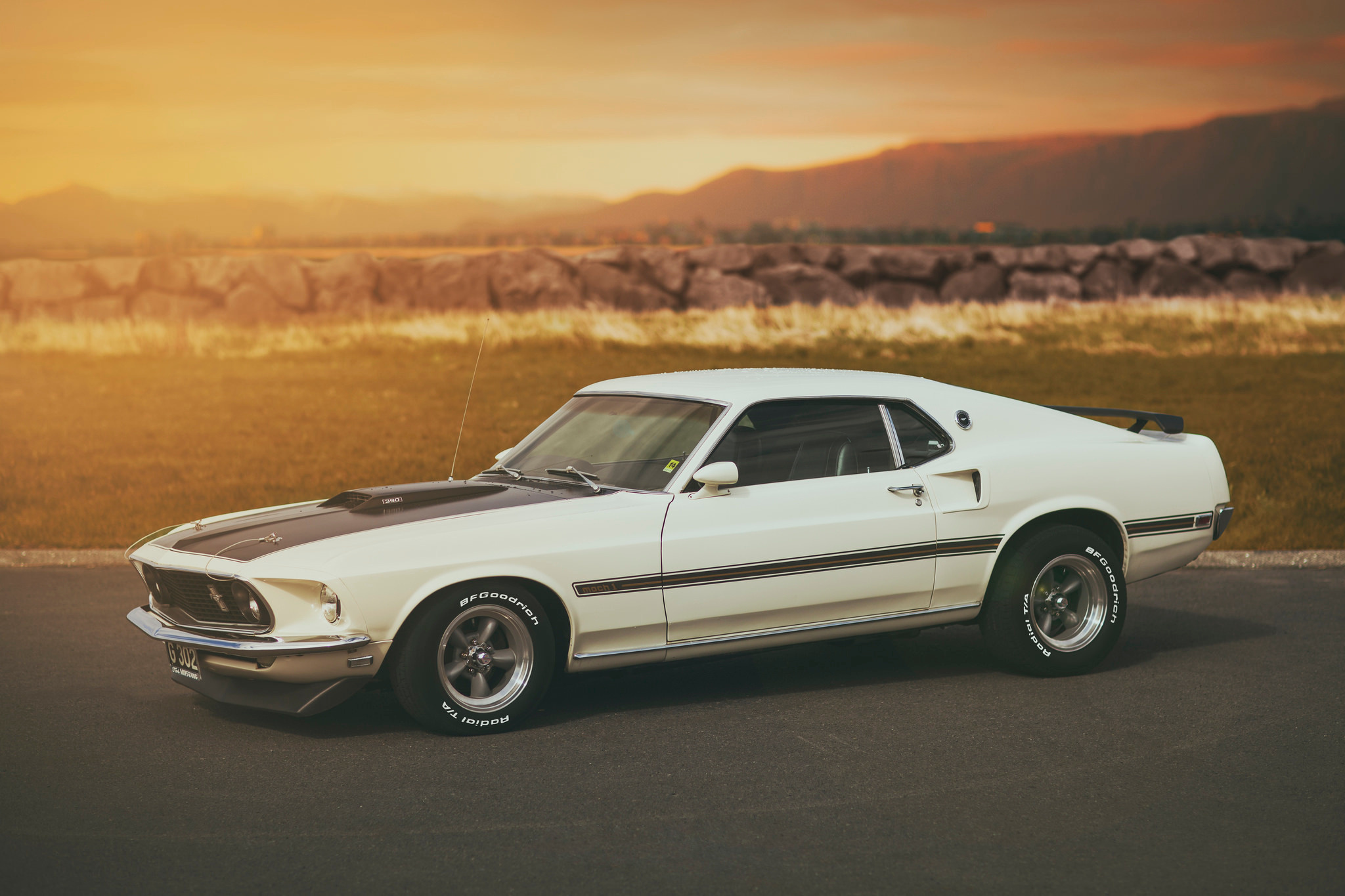 ford, mustang, cars, white, mach 1 wallpaper for mobile