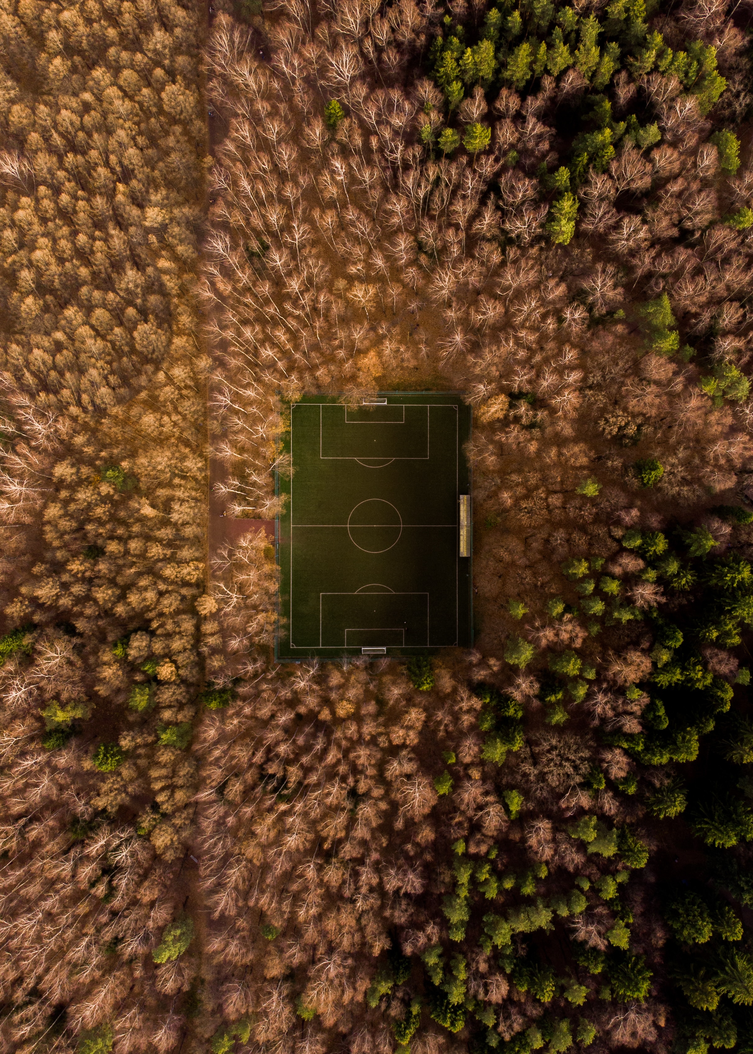 android football field, nature, trees, view from above, playground, platform, overview, review