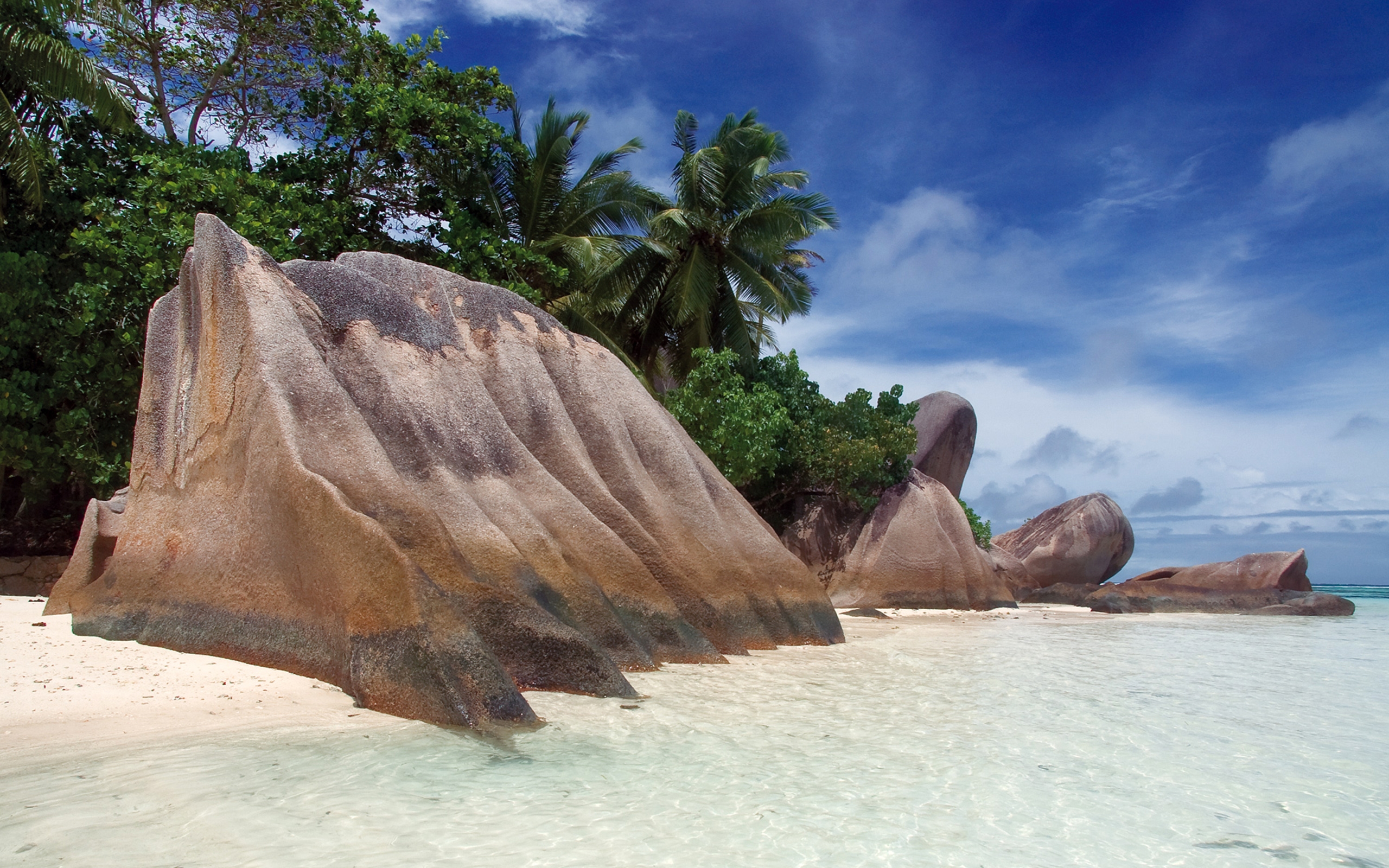 167875 télécharger le fond d'écran palmier, les seychelles, terre/nature, plage, arbre - économiseurs d'écran et images gratuitement