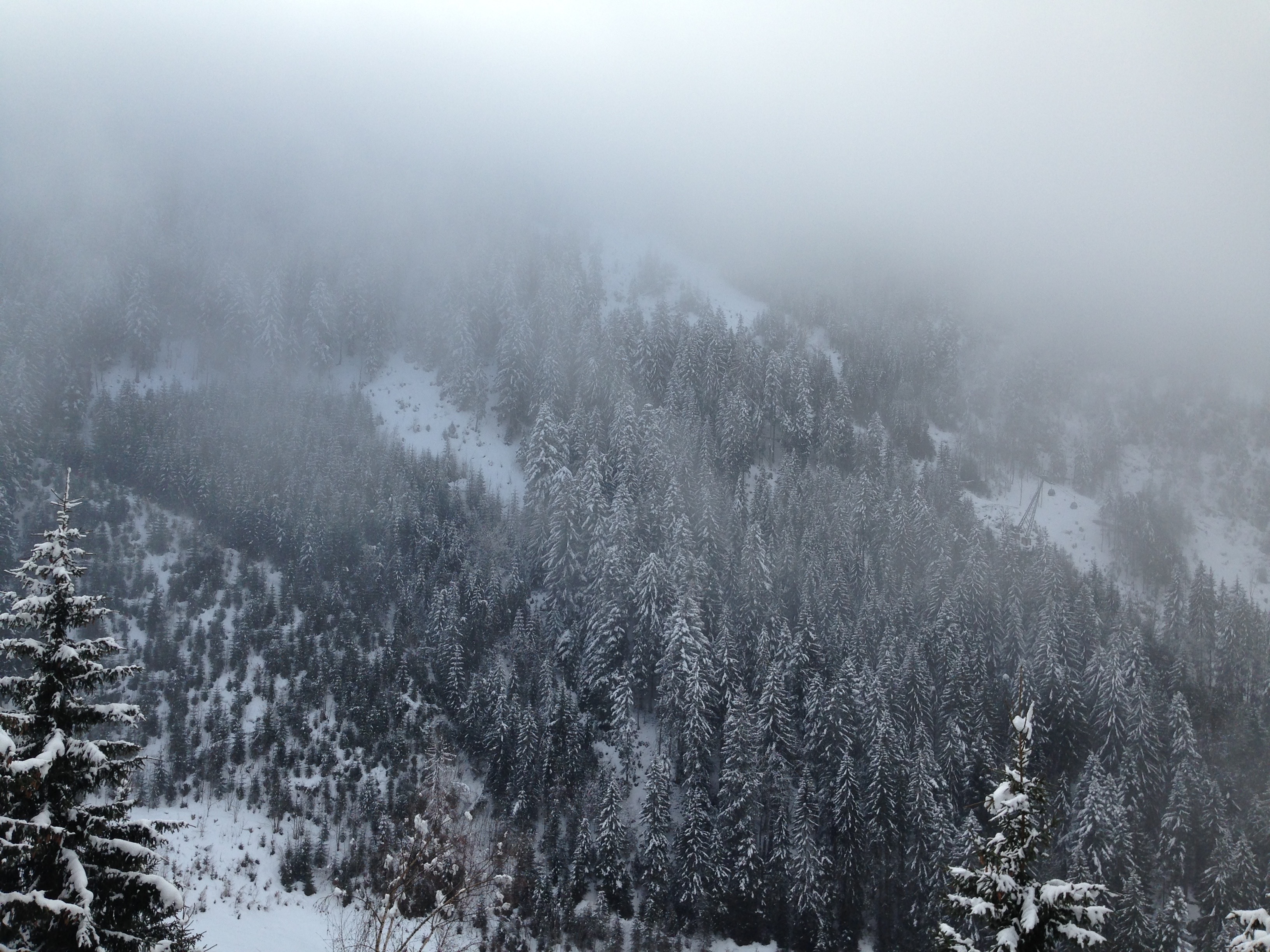 Скачать картинку Туман, Деревья, Снег, Природа, Горы, Сосны в телефон бесплатно.