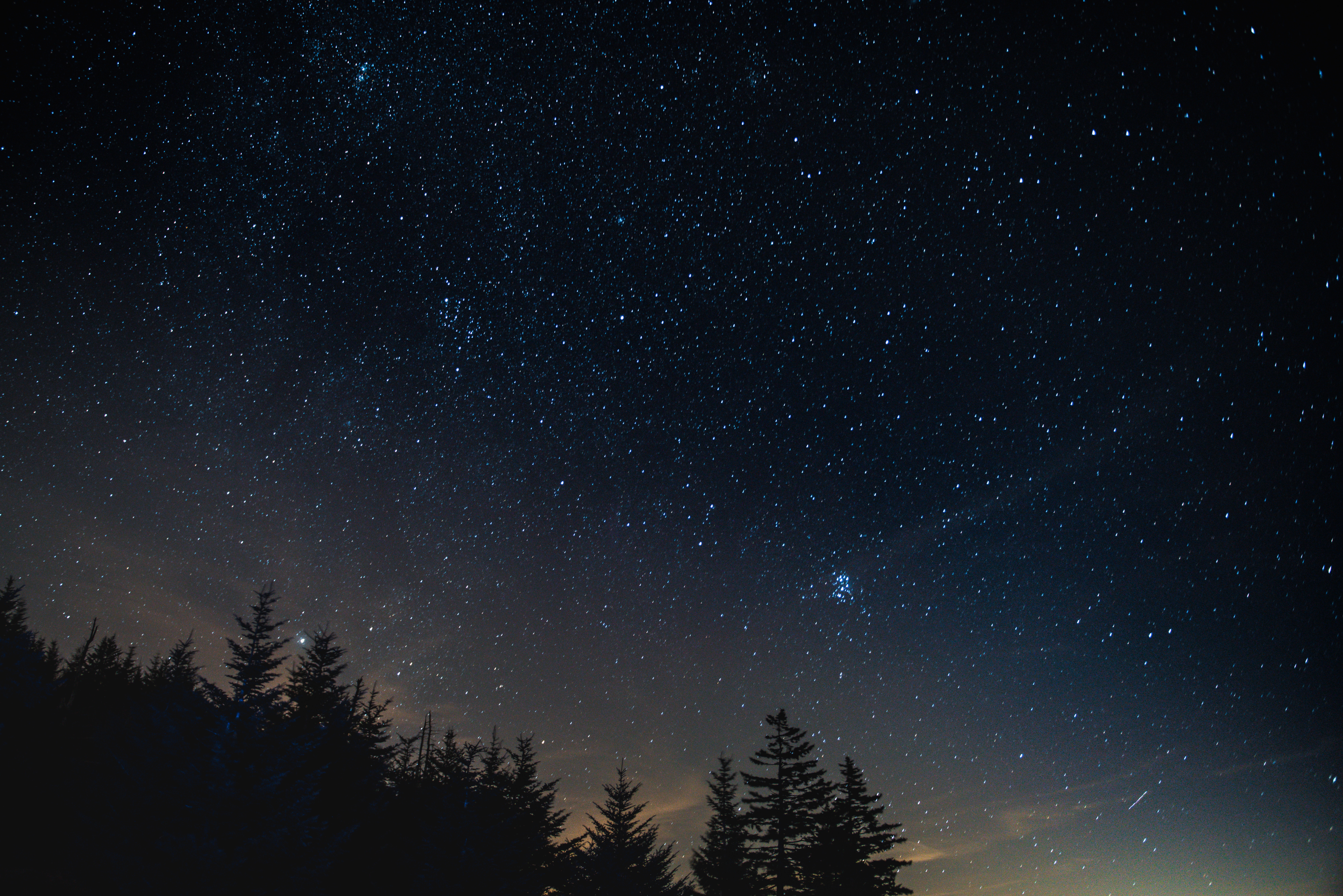 60515 descargar fondo de pantalla cielo estrellado, naturaleza, paisaje nocturno, árboles, noche: protectores de pantalla e imágenes gratis